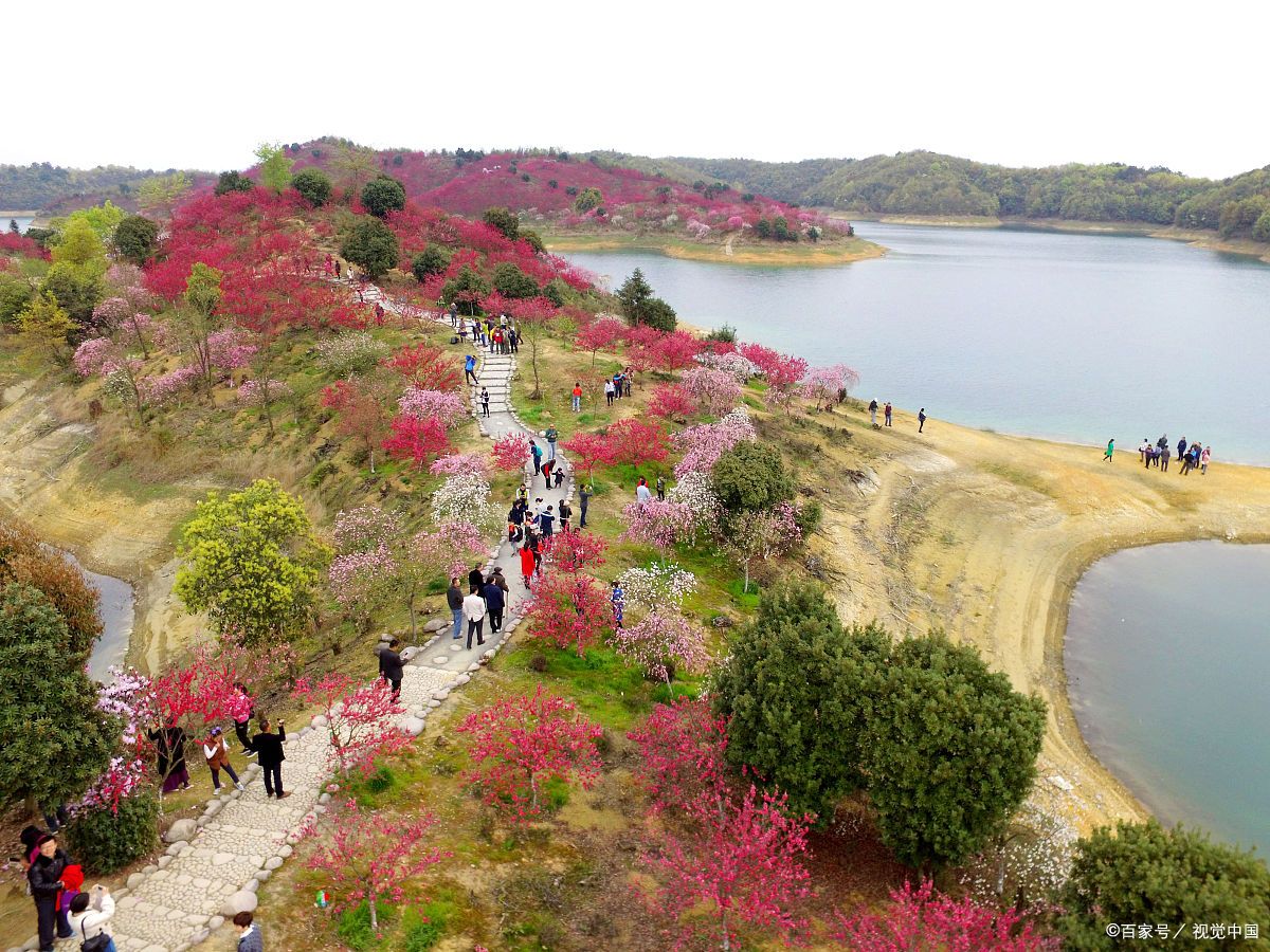 河源市桃花岛图片