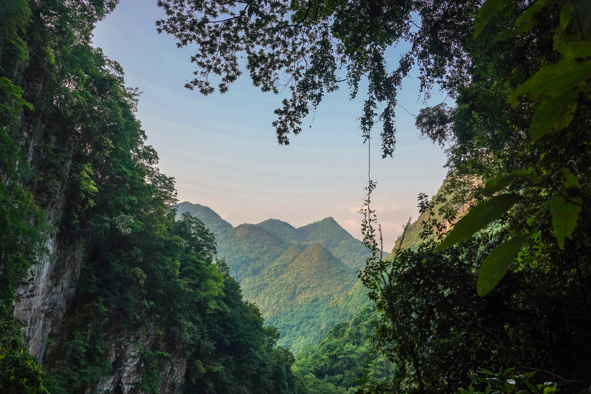 我选择了去杭州东明山森林公园放松心情,感受大自然的魅力