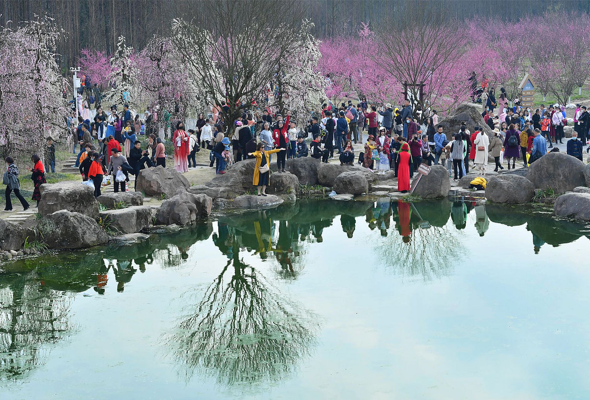 宁波舟山桃花岛风景区图片