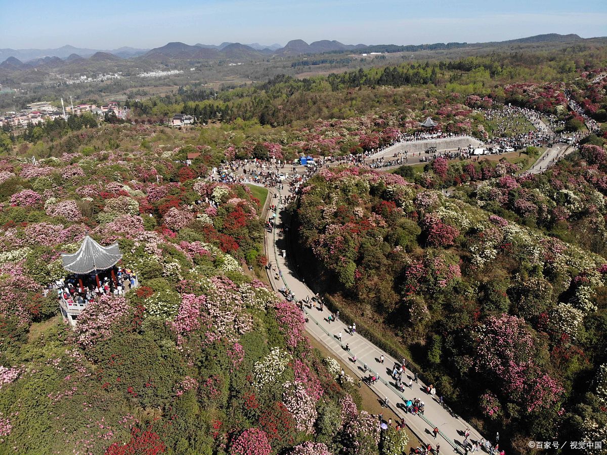 景区型旅游目的地图片