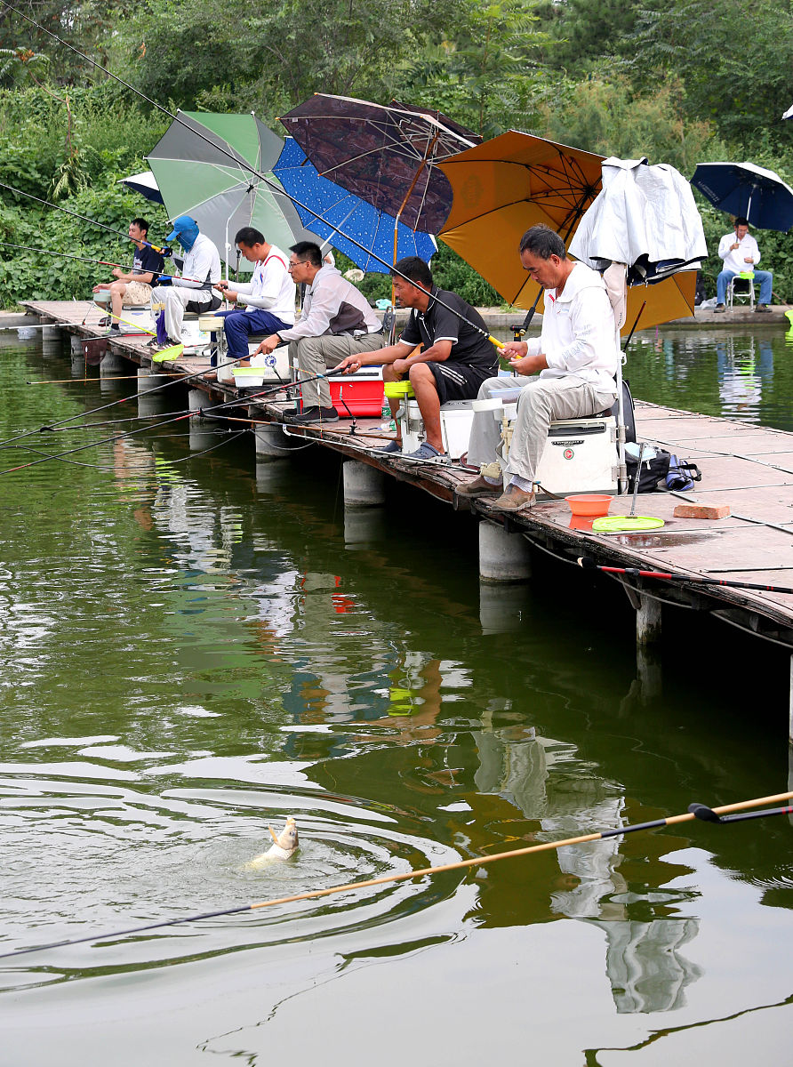 河虾饵与蚯蚓饵:一场钓鱼界的对比研究
