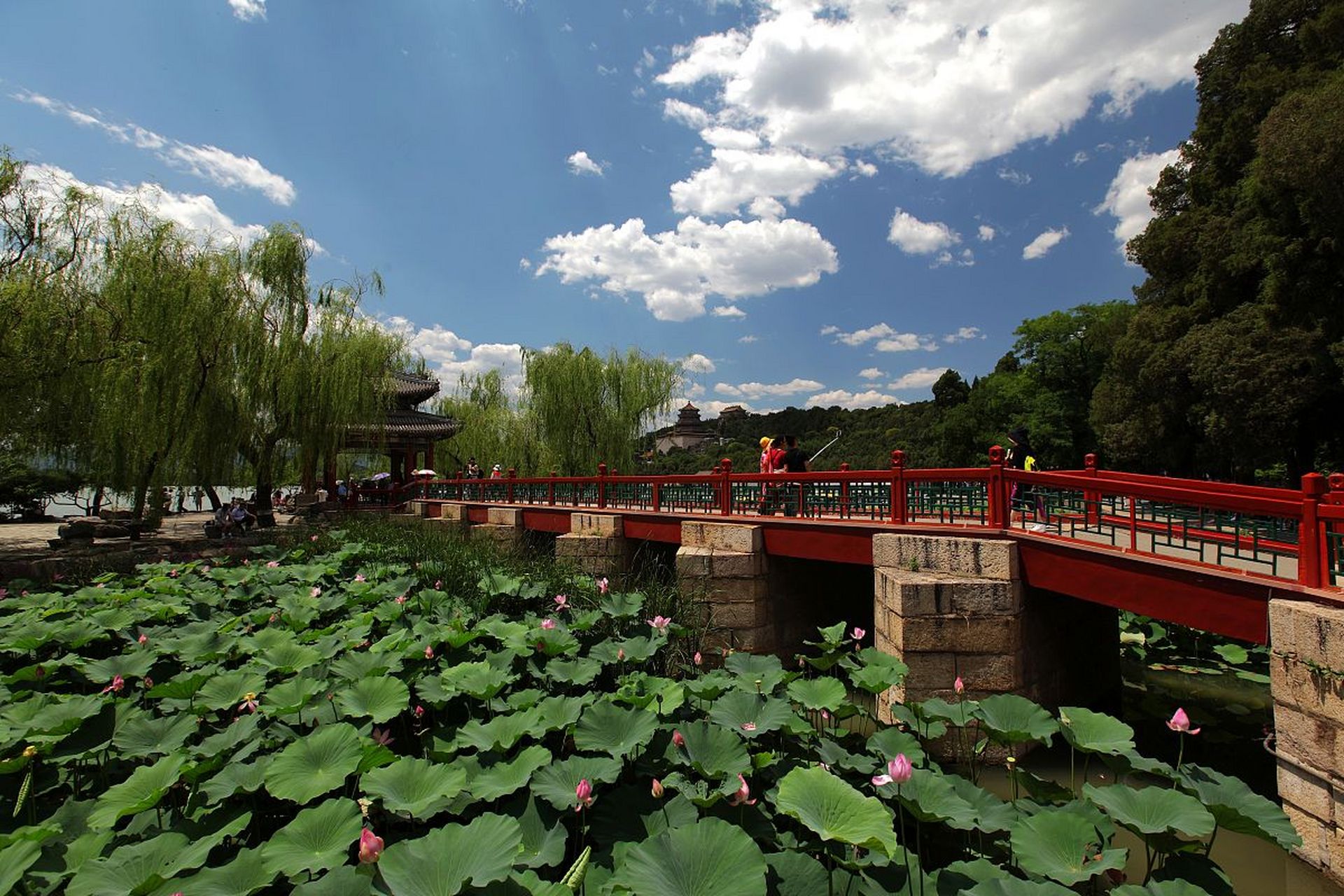 仲夏消暑季#坐落于风景秀丽的景山公园莲花芯景区,温州动物园占地2..