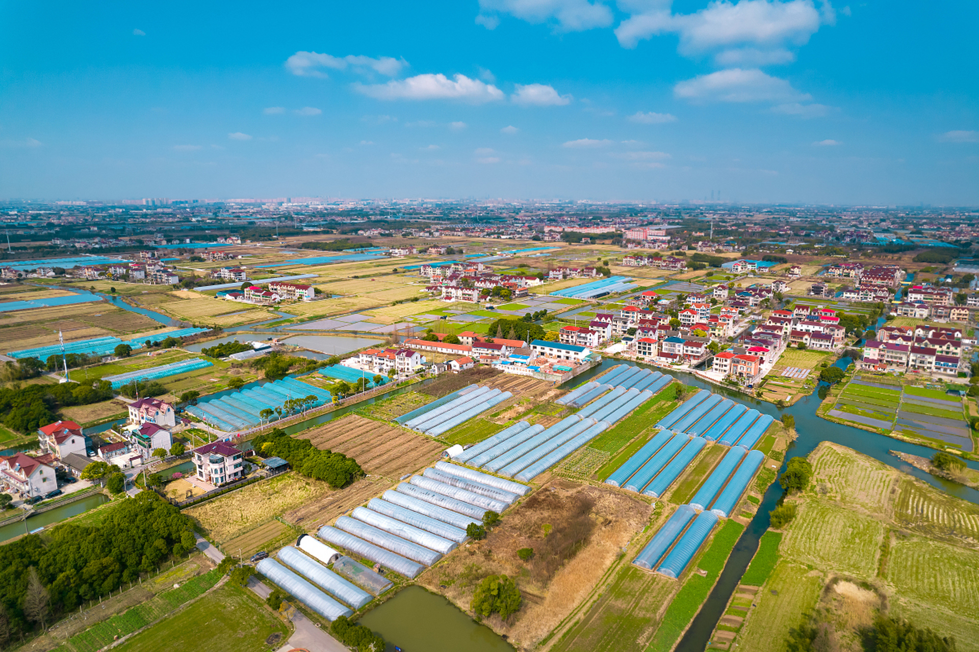搜一下横沙新洲现代农业产业园嘛,通过填海已经增加了100平方公里的