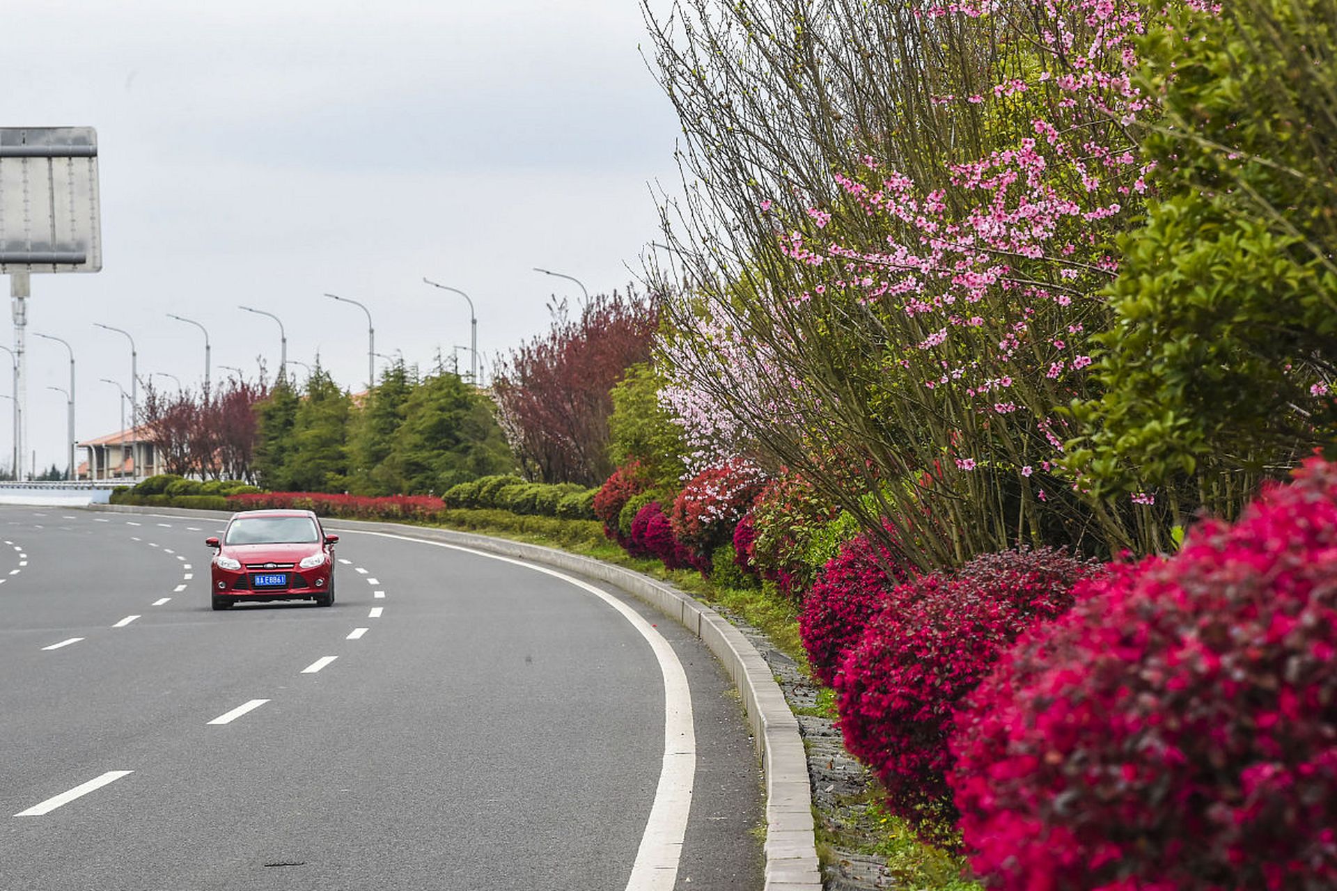 春天的上海滨江大道,繁花似锦,绿意盎然,春游黄浦江美景与两岸繁华