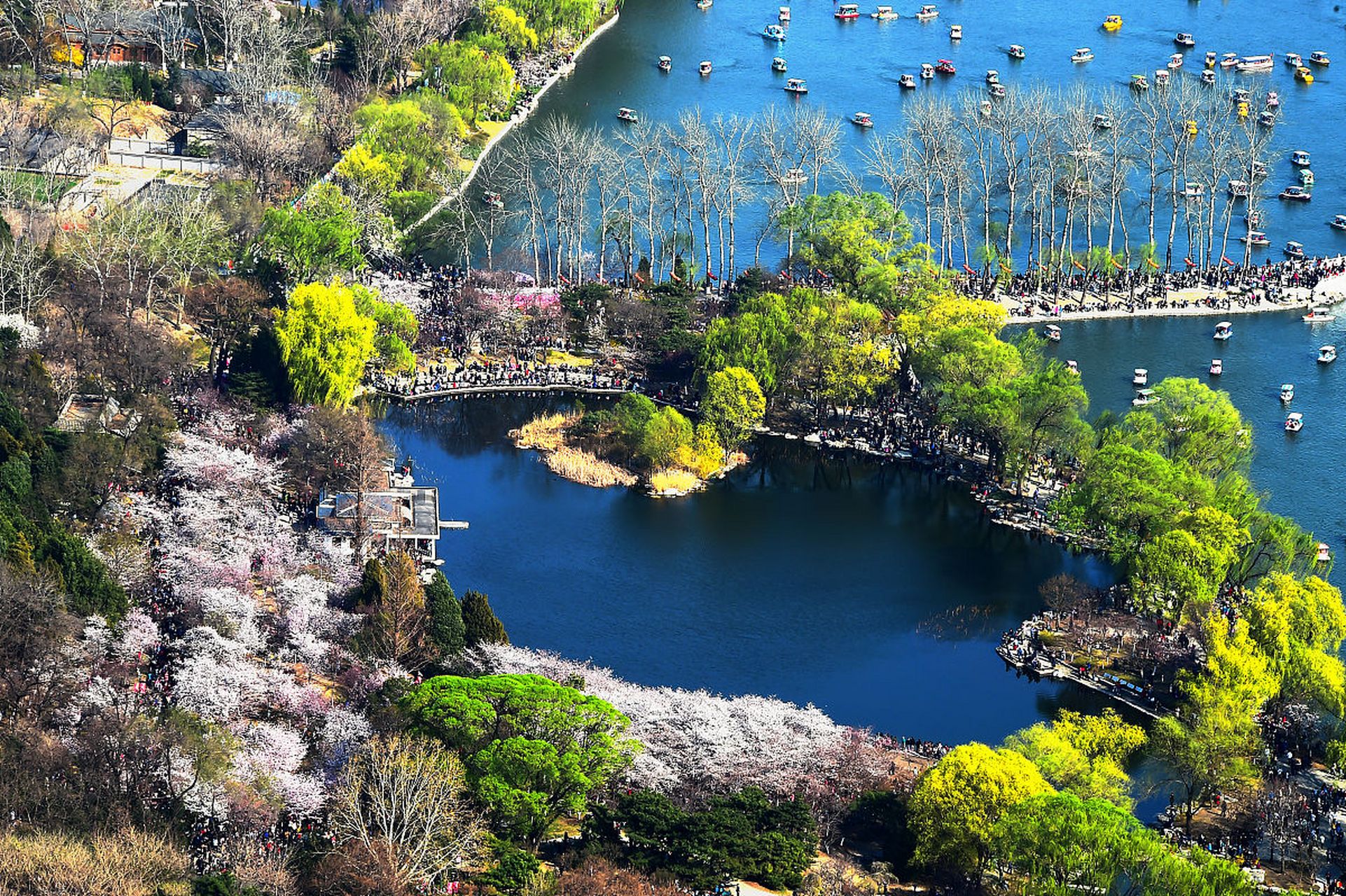 当冬日的寒冷渐渐退去,波罗峪便迎来了它的春天.
