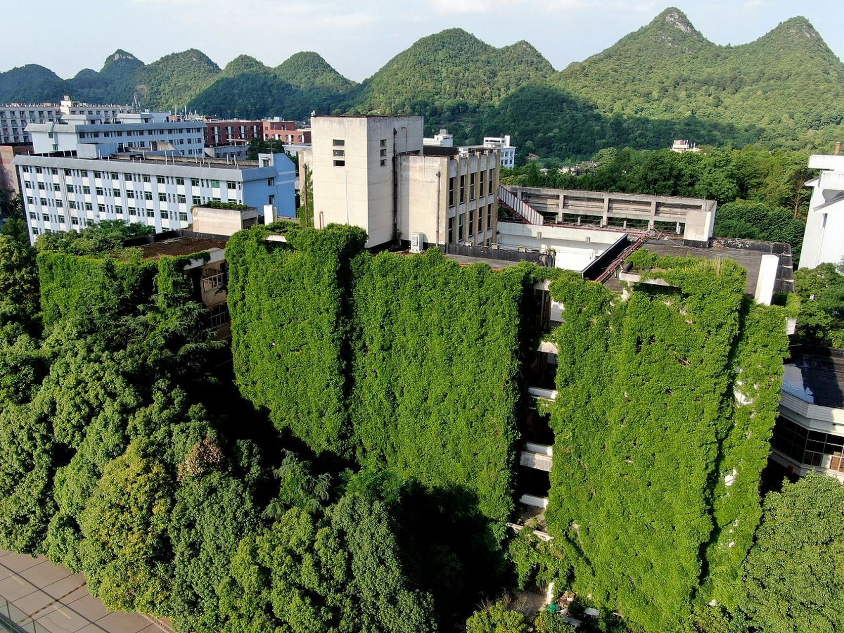 贵州大学图片校园美景图片