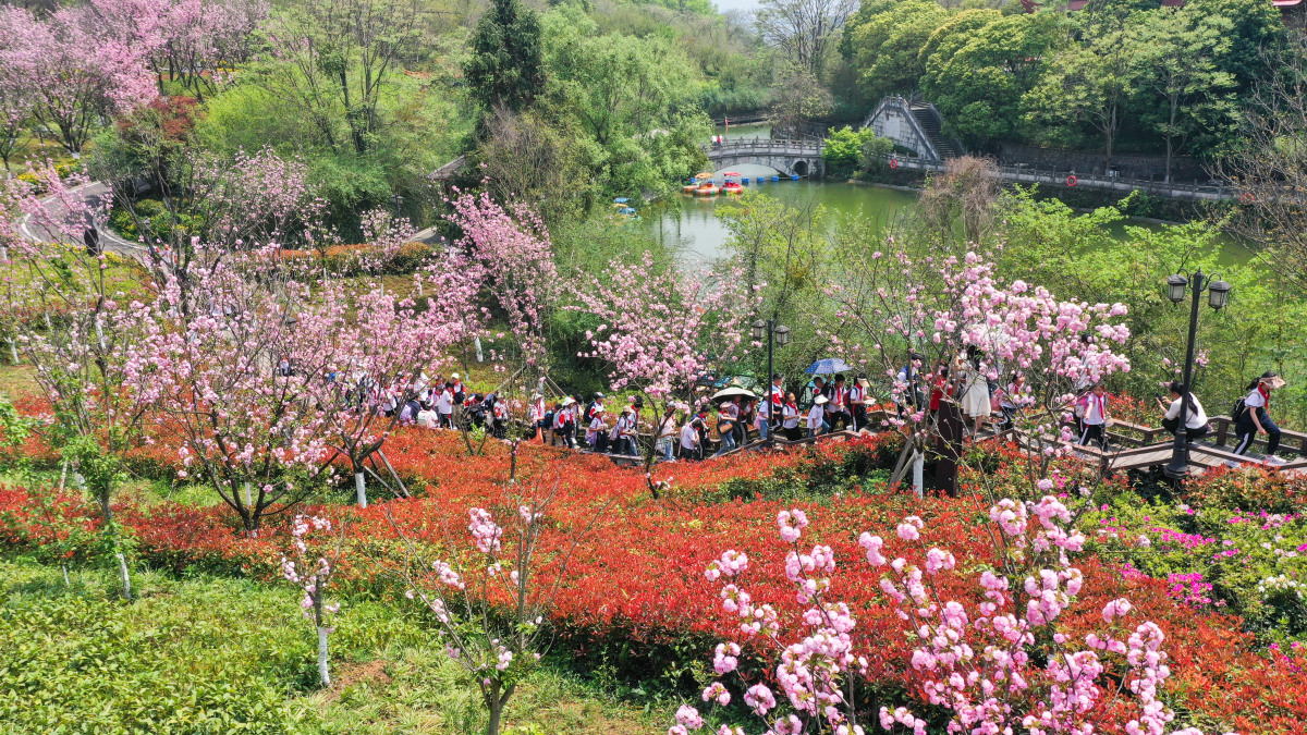 长沙市生态园林公园图片