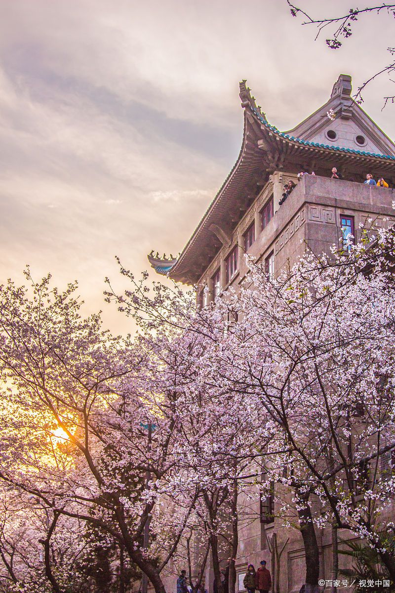 武汉大学天气预报