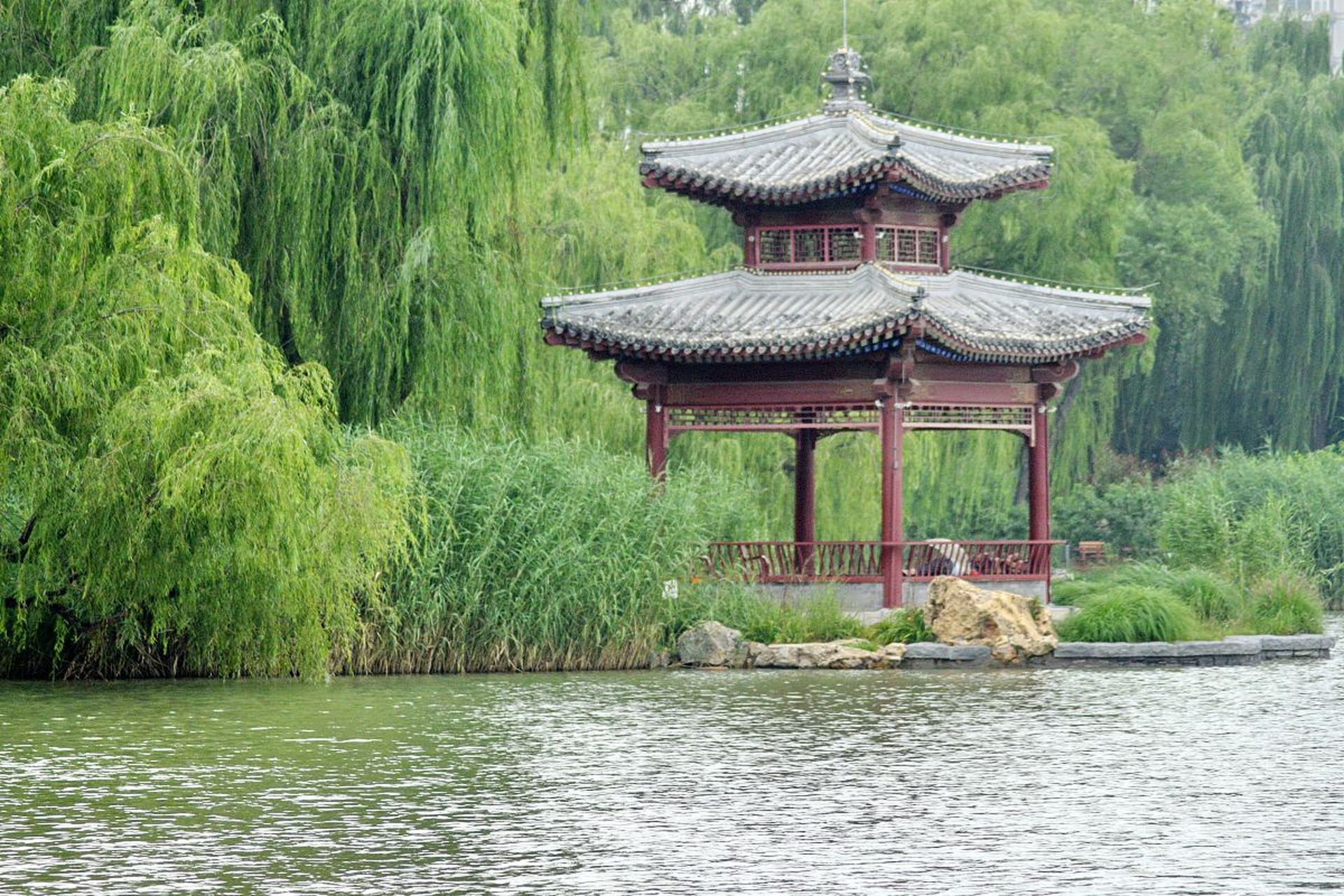 紫竹院公园是北京唯一竹子文化旅游胜地,免费入园,具有近百年历史.