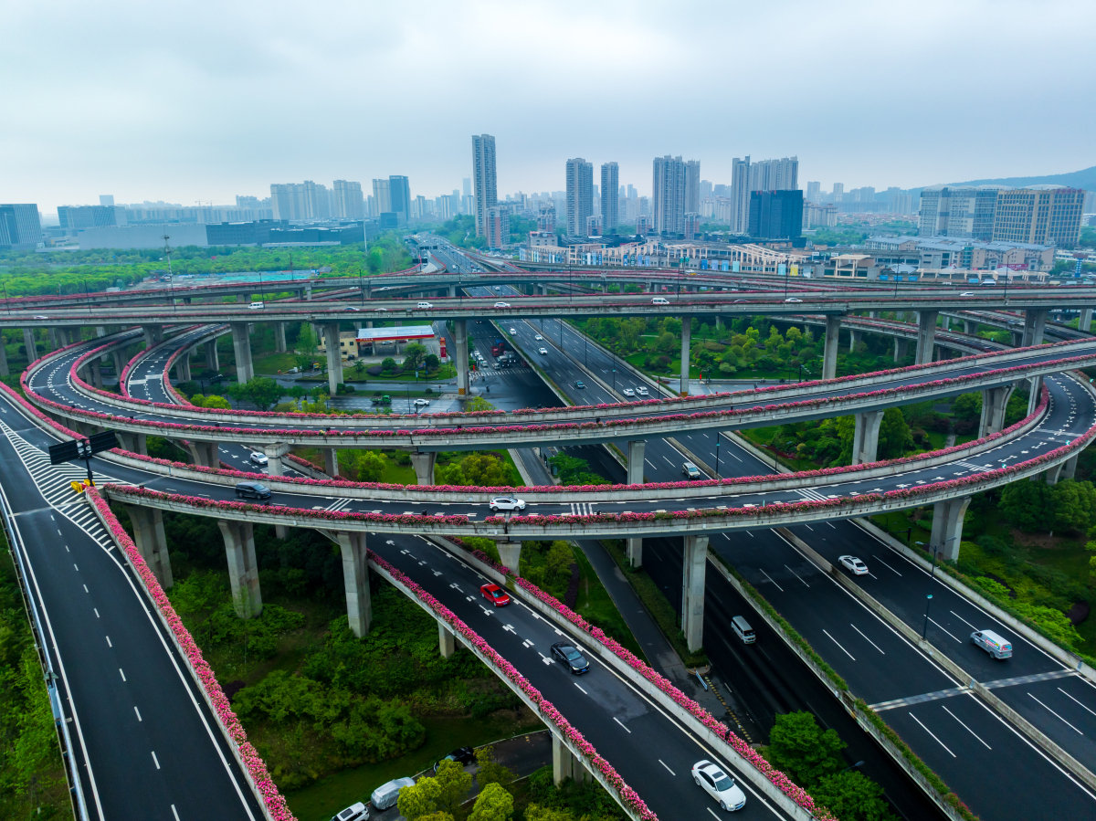 人间四月正芳菲,近日,杭州临平高架桥上的月季惊艳绽放,对于杭州人来