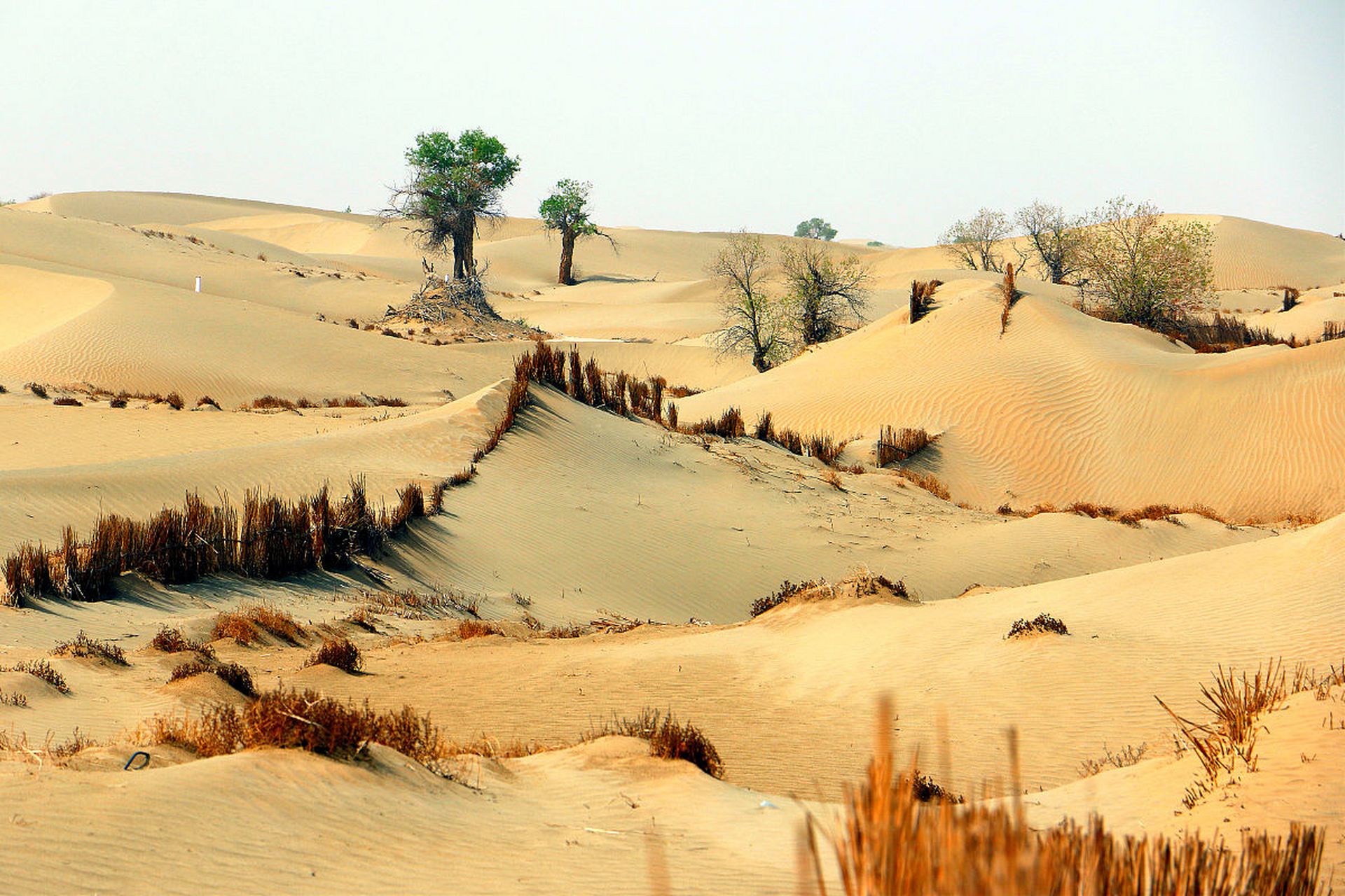 秋日环游指南# 乌海旅游必去的3个地方如下:  甘德尔山:乌海甘德渡浇