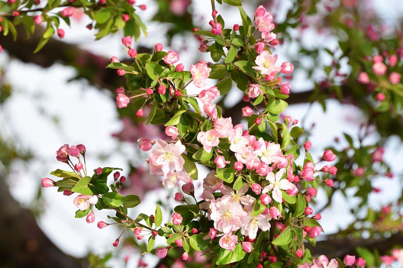 要学会管理时间,也要学会做时间规划.