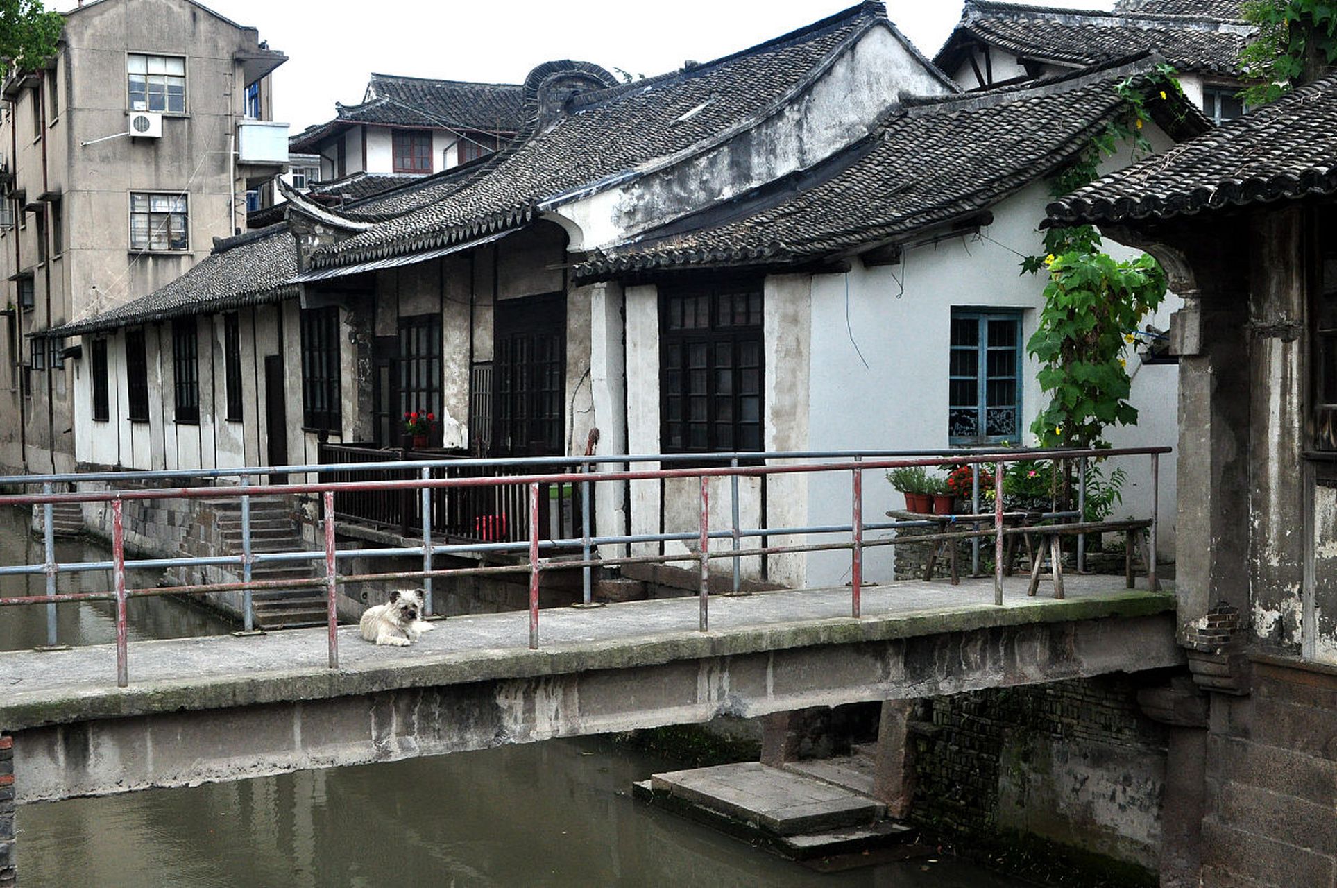 嬉行记# 上海新场古镇,乃中国历史悠久的文化古镇,素有"江南小京都"