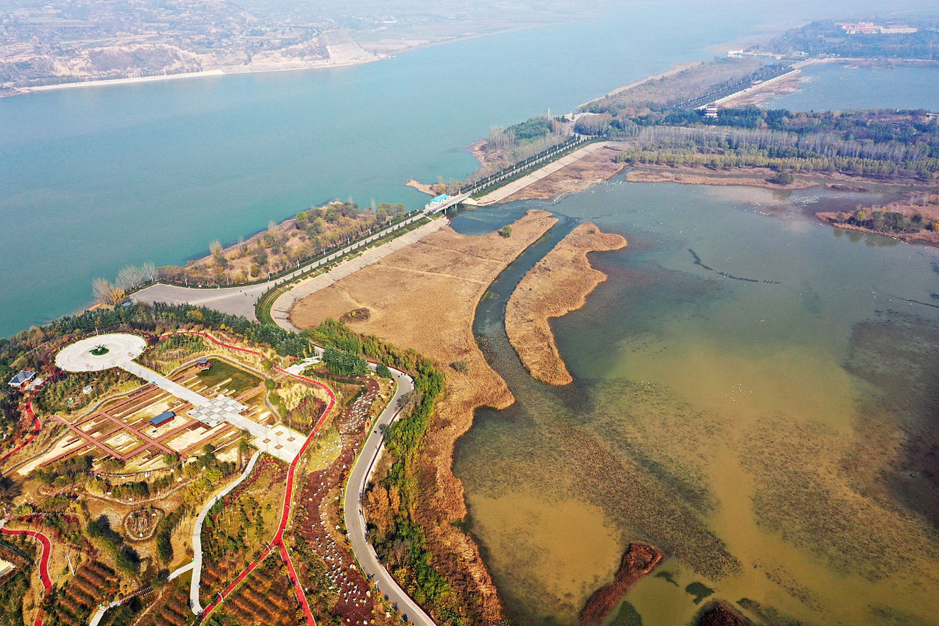 王官湿地图片