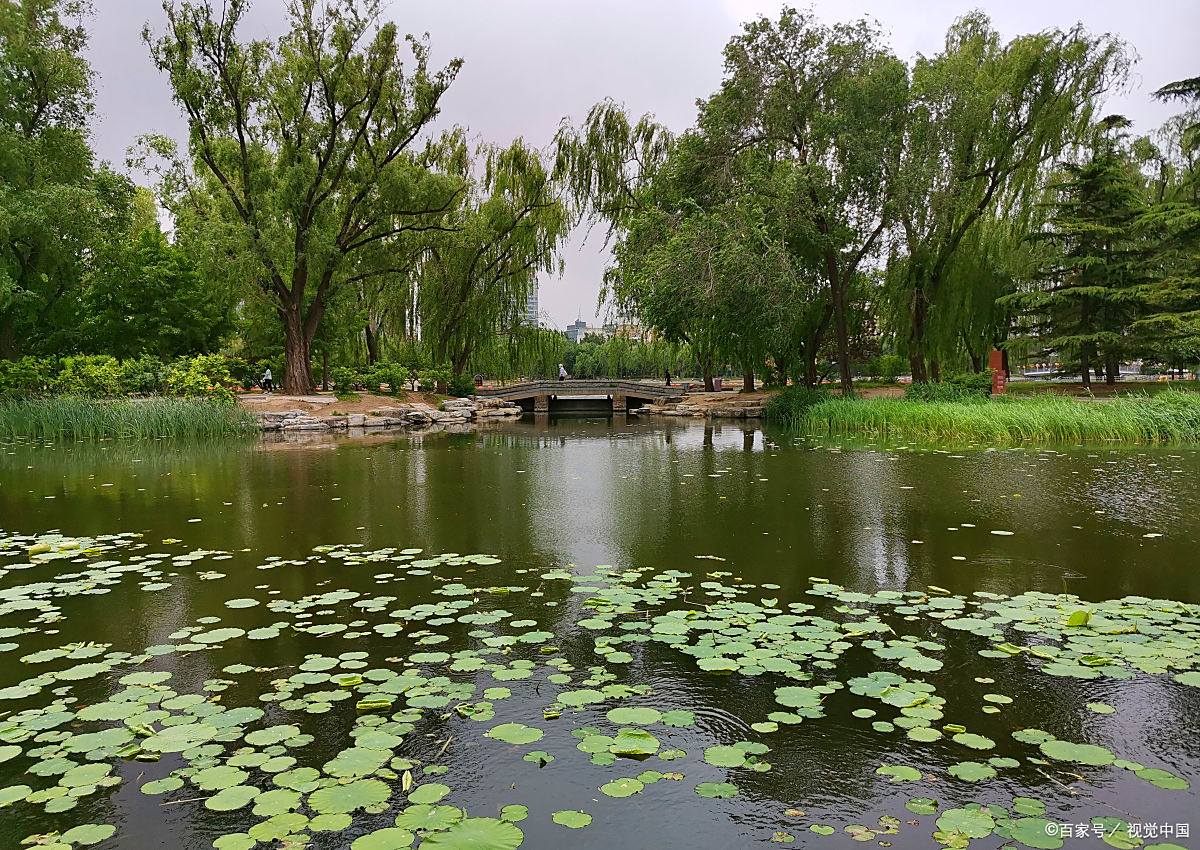 玉渊潭公园漫游记:探寻京城绿肺,品味海淀美食  玉渊潭寻梦:京城绿意