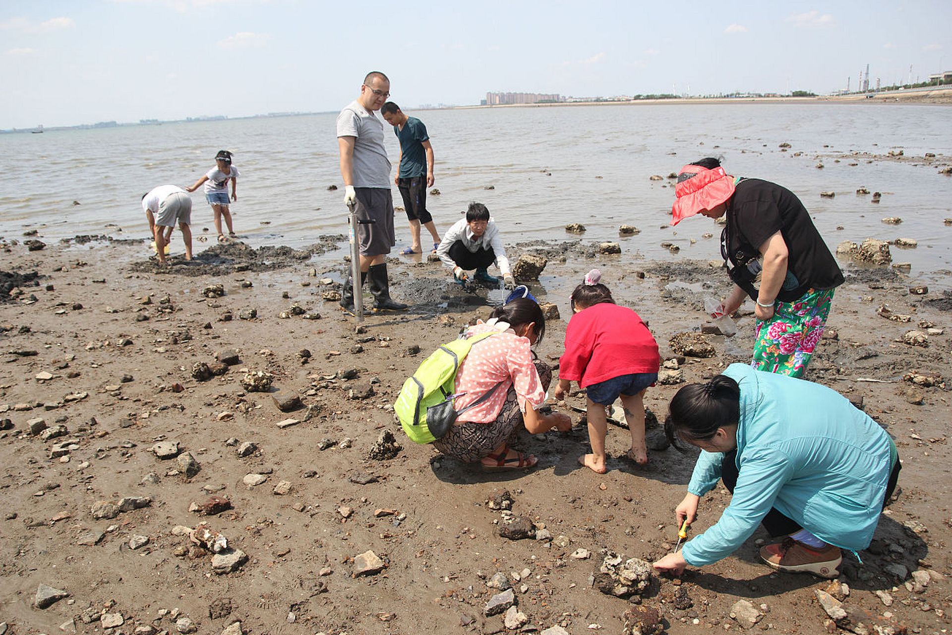 嬉行记# 北海红树林拾贝赶海,自古就是一项引人注目的活动.