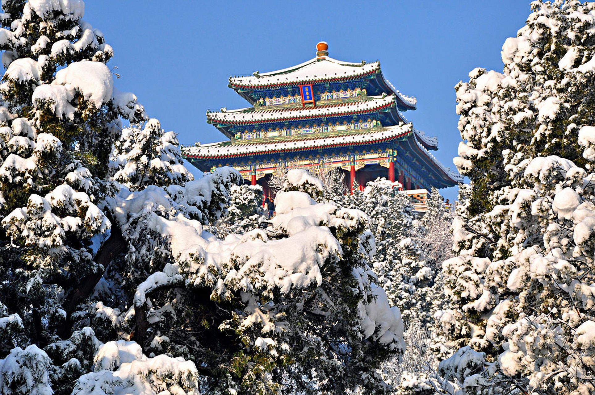 景山公园雪景图片