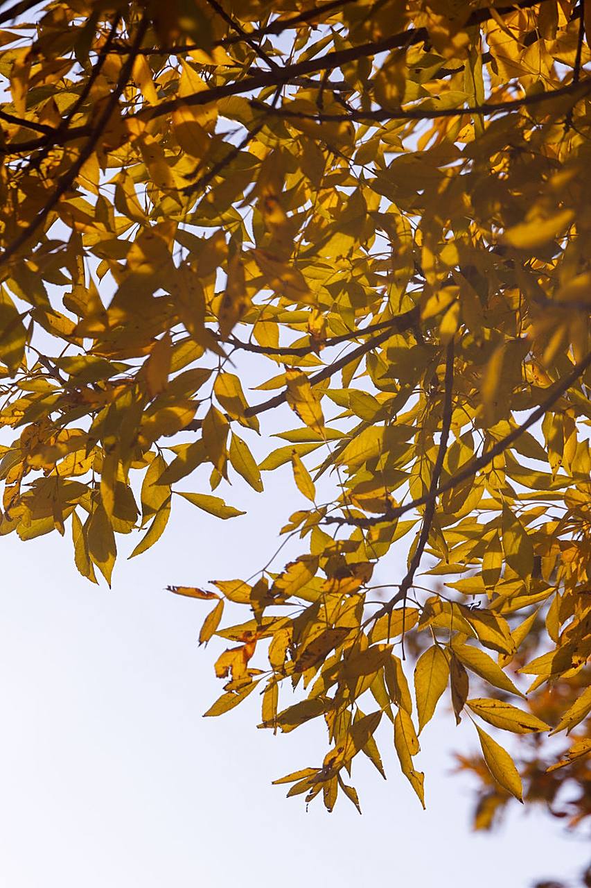 春暖花开时,万物生机昂.冰川消融,草木复苏,大地重新焕发生机和活力.