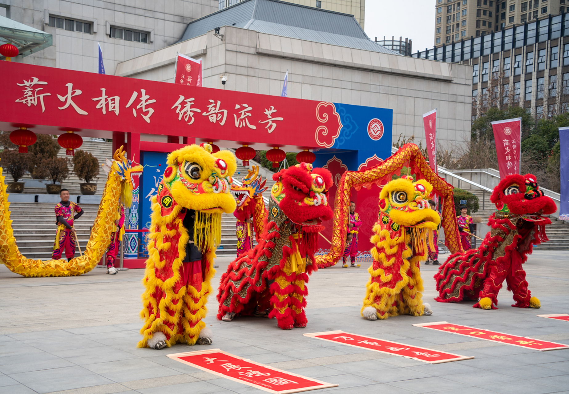 嘉兴舞狮队151x2333x2322嘉兴开业舞狮乔迁,生日,庙会年会接亲婚礼