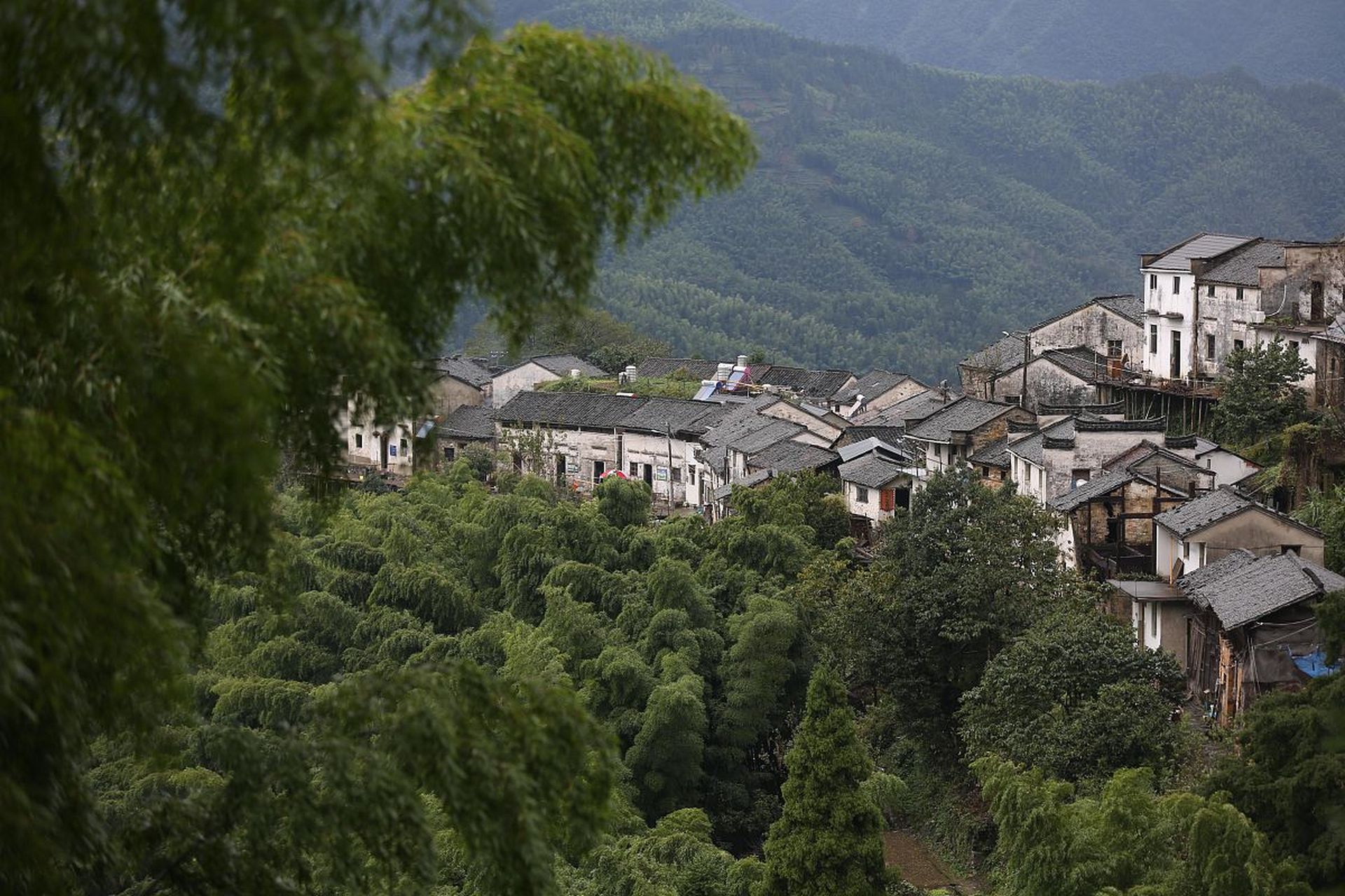 黄山市祁门县图片