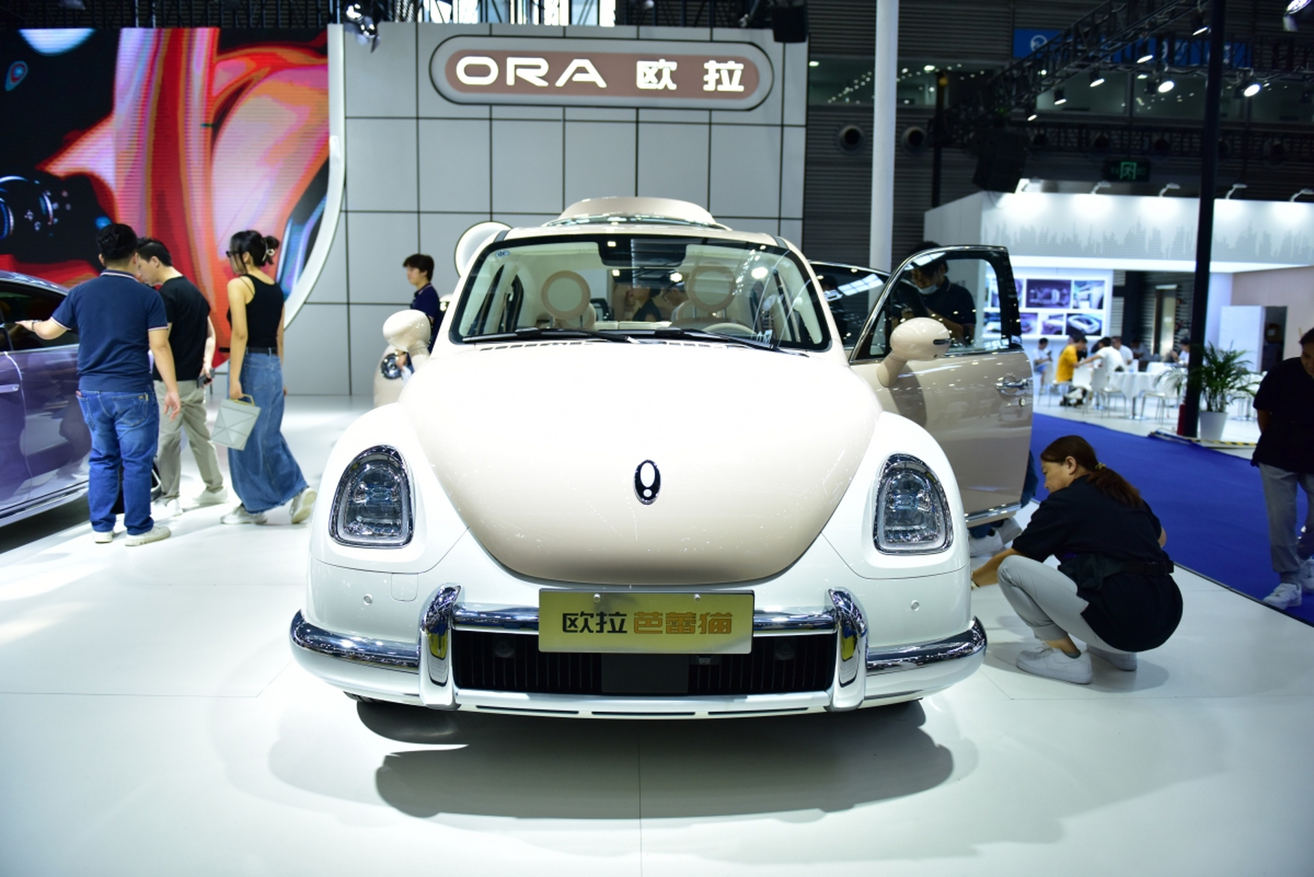 被誉为行走的"时尚单品"的芭蕾猫引起了广泛关注.