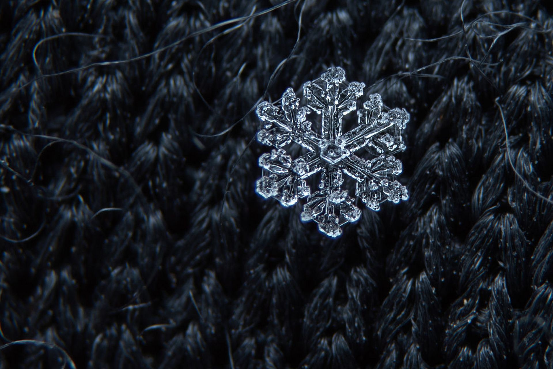 雪花壁纸高清 冰晶图片