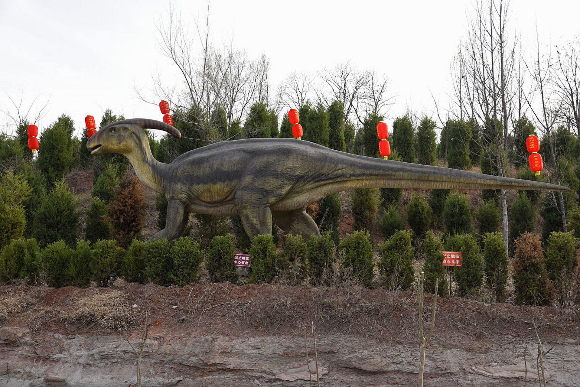 南阳西峡恐龙遗迹园:位于河南省南阳市西峡县,是一座以恐龙蛋化石群为