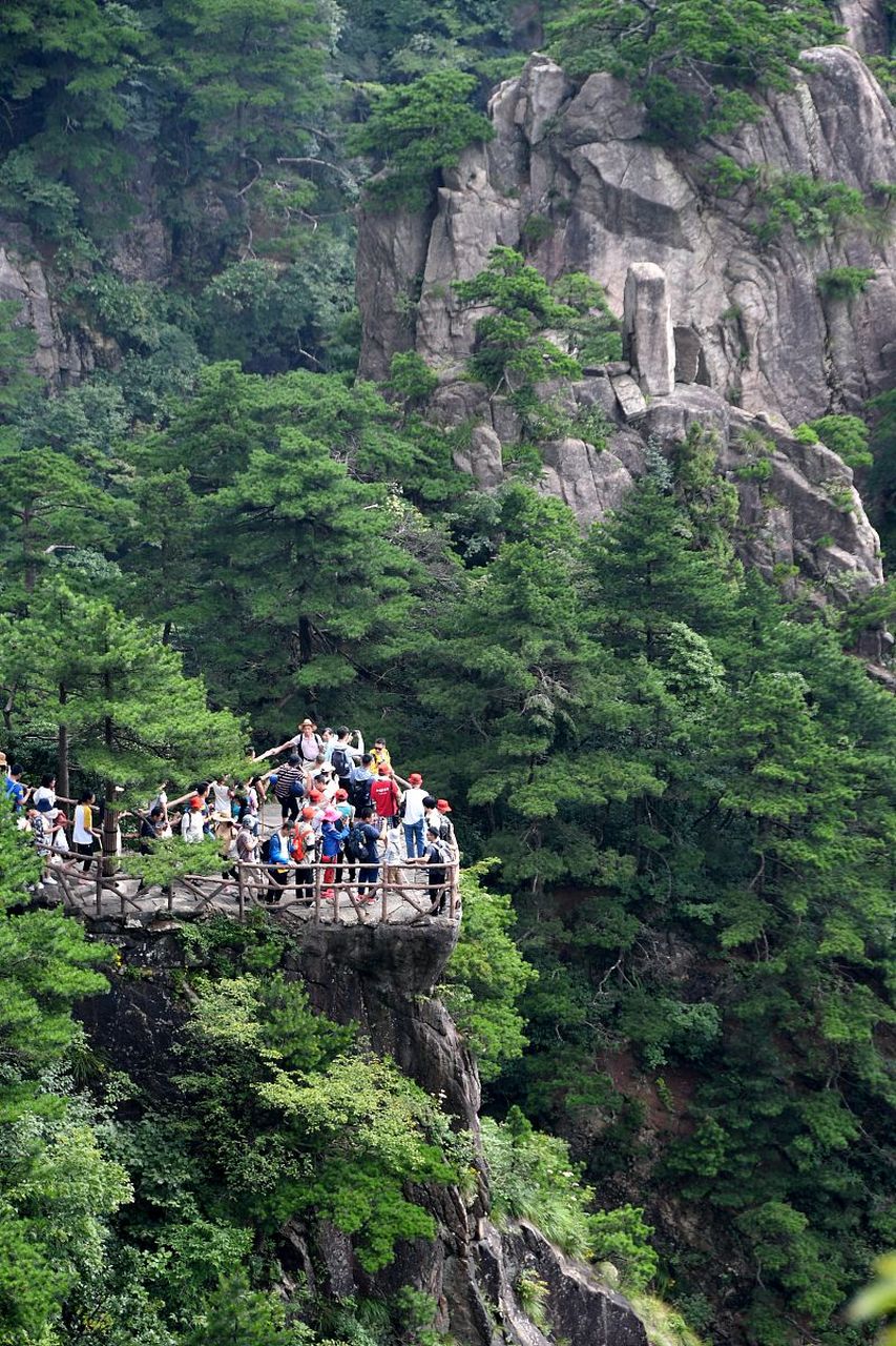 黄山10条最适合自驾游的风景道 你去过几条 黄山自驾游攻略  黄山是