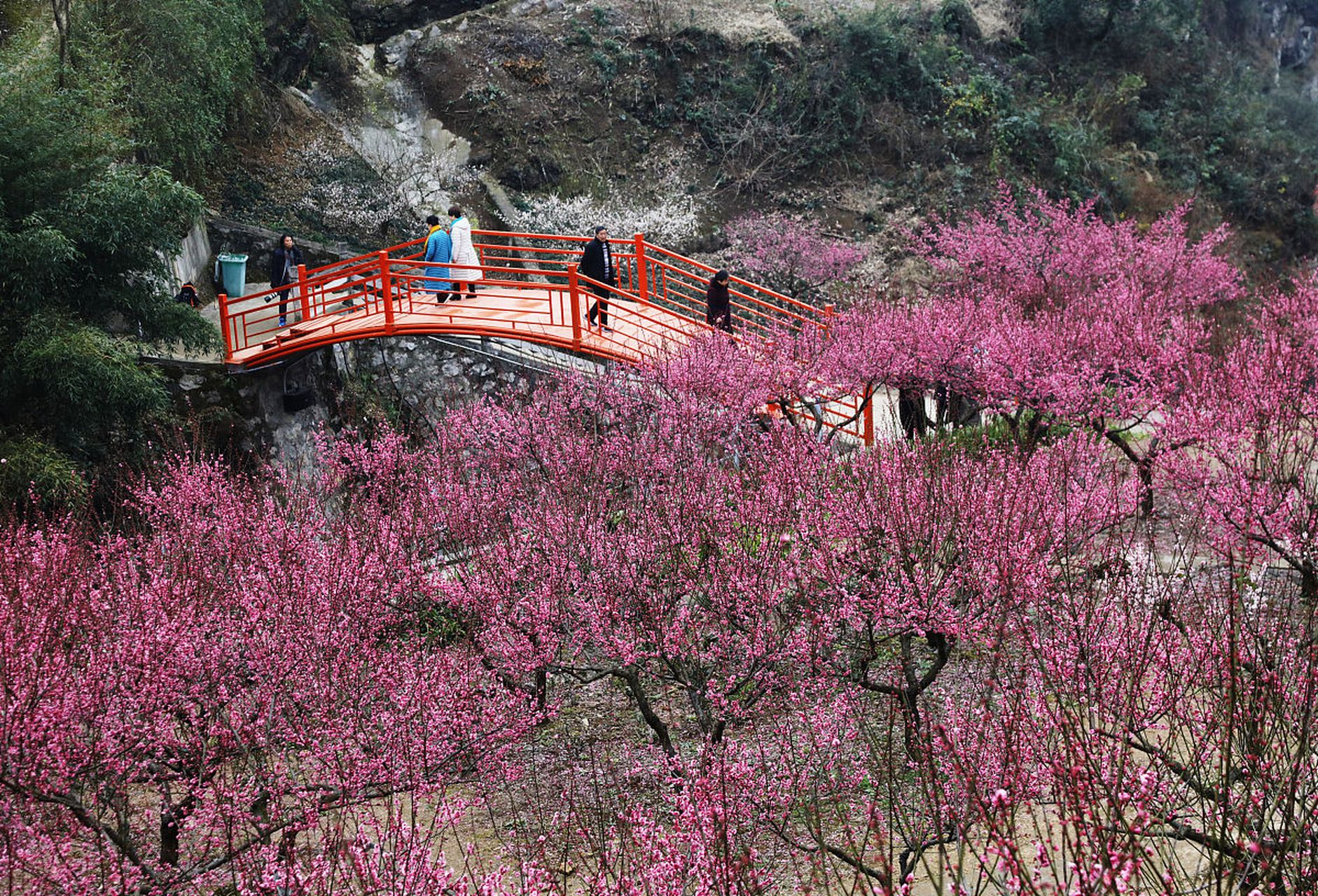 无锡市梅园横山风景区,一处融自然景观,人文古迹,名花异卉,园林建筑及