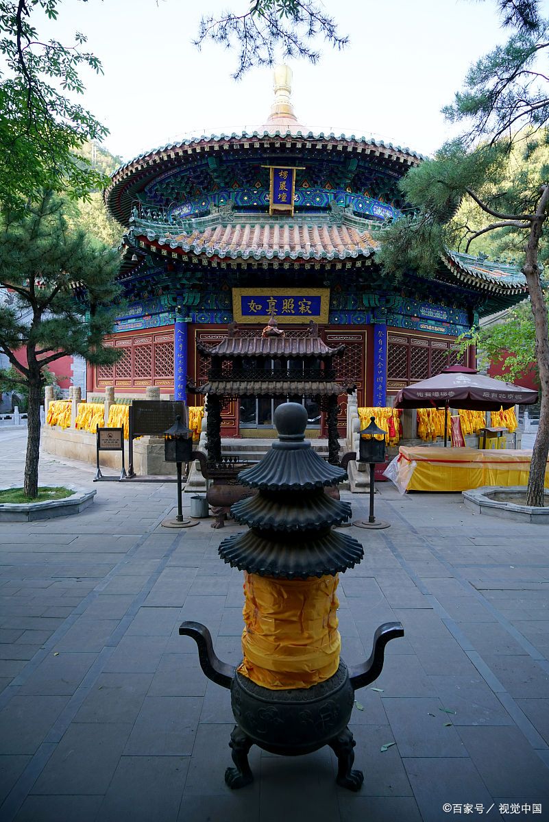 **北京潭柘寺银杏实测!