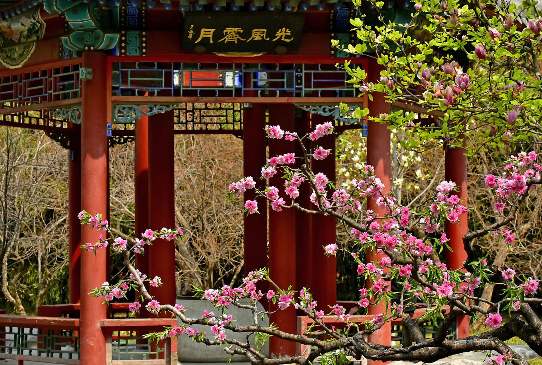 我推荐最美百花湖森林公园,在百花湖森林公园如果你从山脚登到了山顶