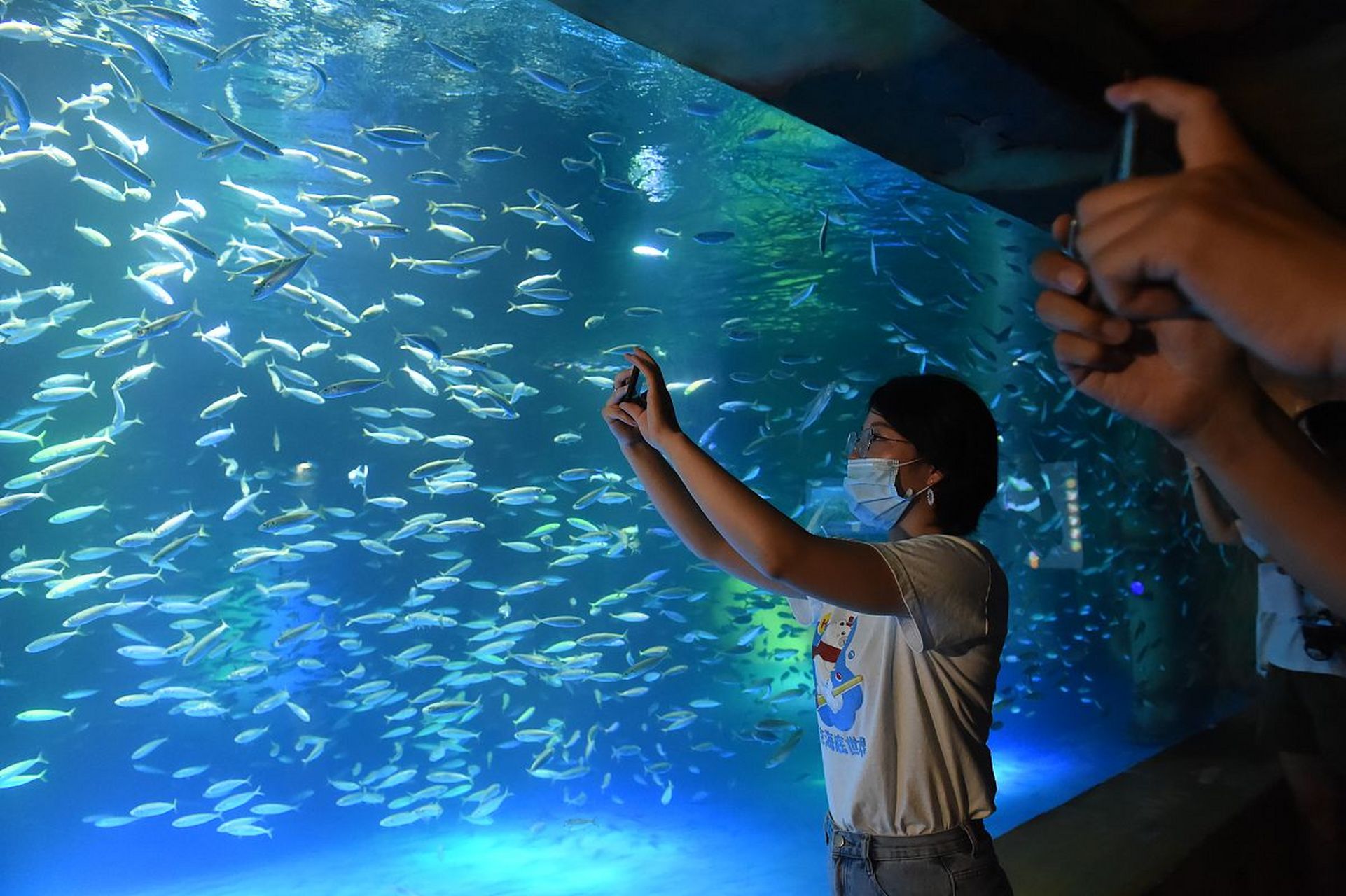 在成都海洋世界,这个梦想可以得以实现.