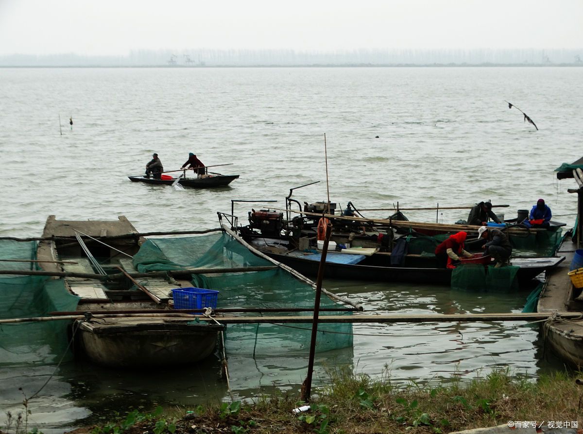 湖州长兴洪桥镇的冬日,太湖渔船点点如星!