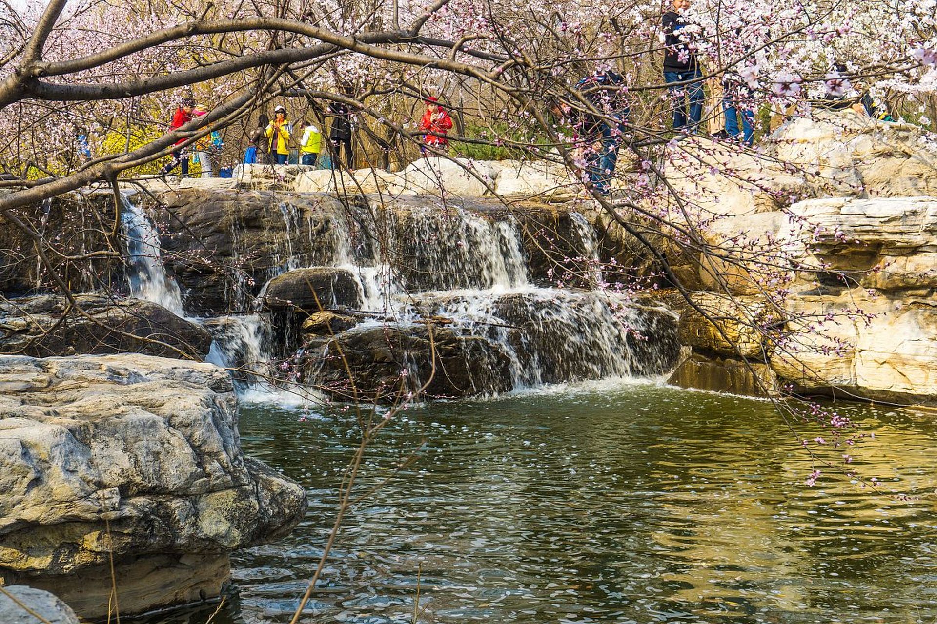 七渡花果山绝对是你的不二之选!