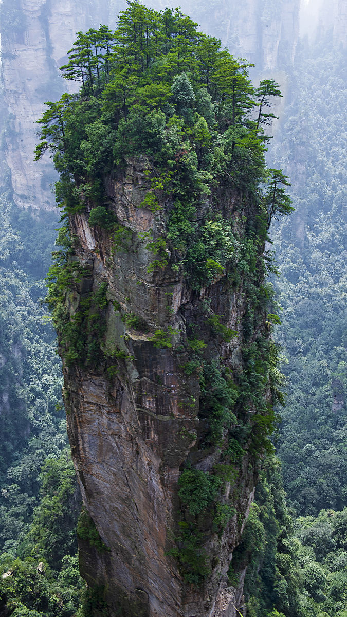 张家界金鞭溪惊现天然佛像!采药人口中的"治病石"究竟有何玄机