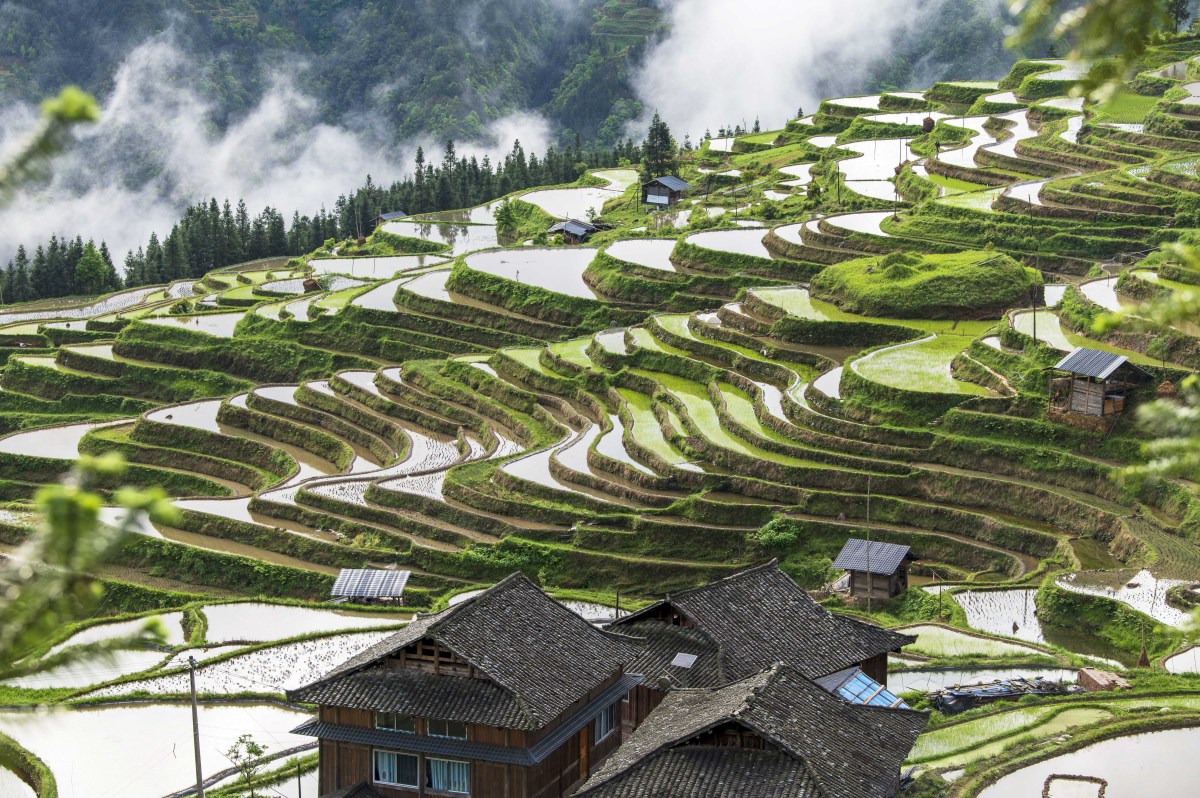 周末去哪儿玩   湖南旅游景点推荐  紫鹊界梯田 感受千年农耕文明的