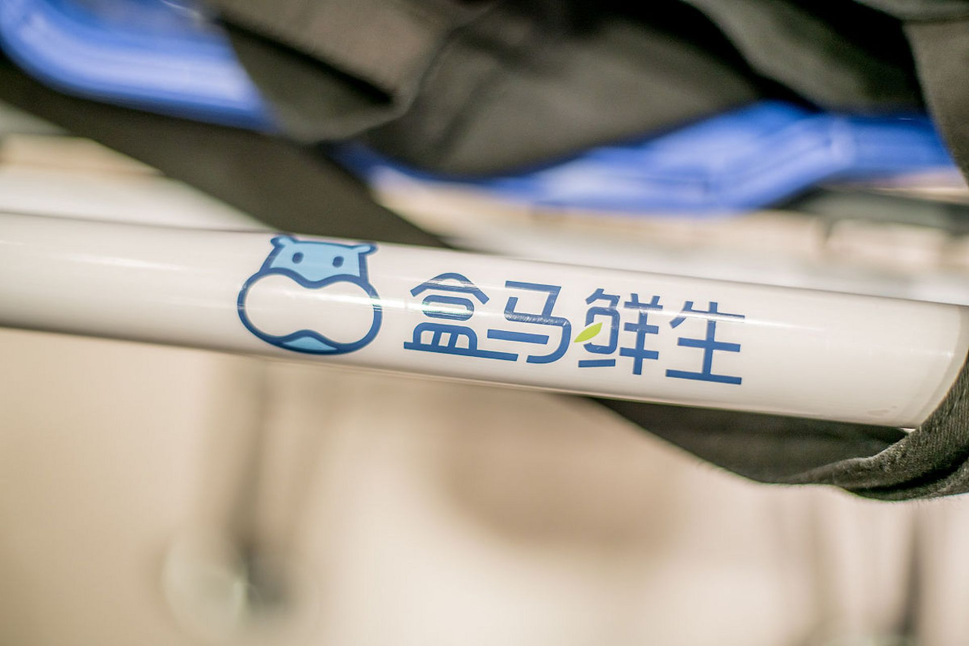 【盒马计划未来10年建立1000个盒马村】9月4日消息,近日,北京盒马副总