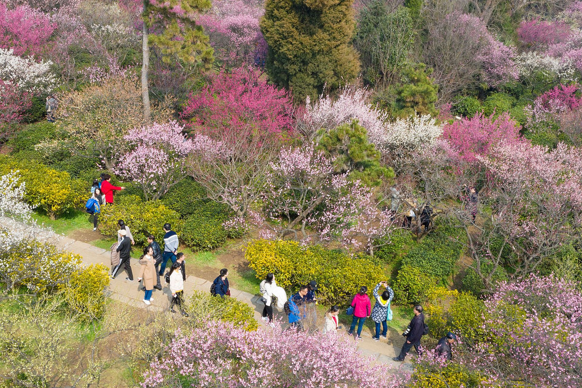 南昌梅岭植物园图片