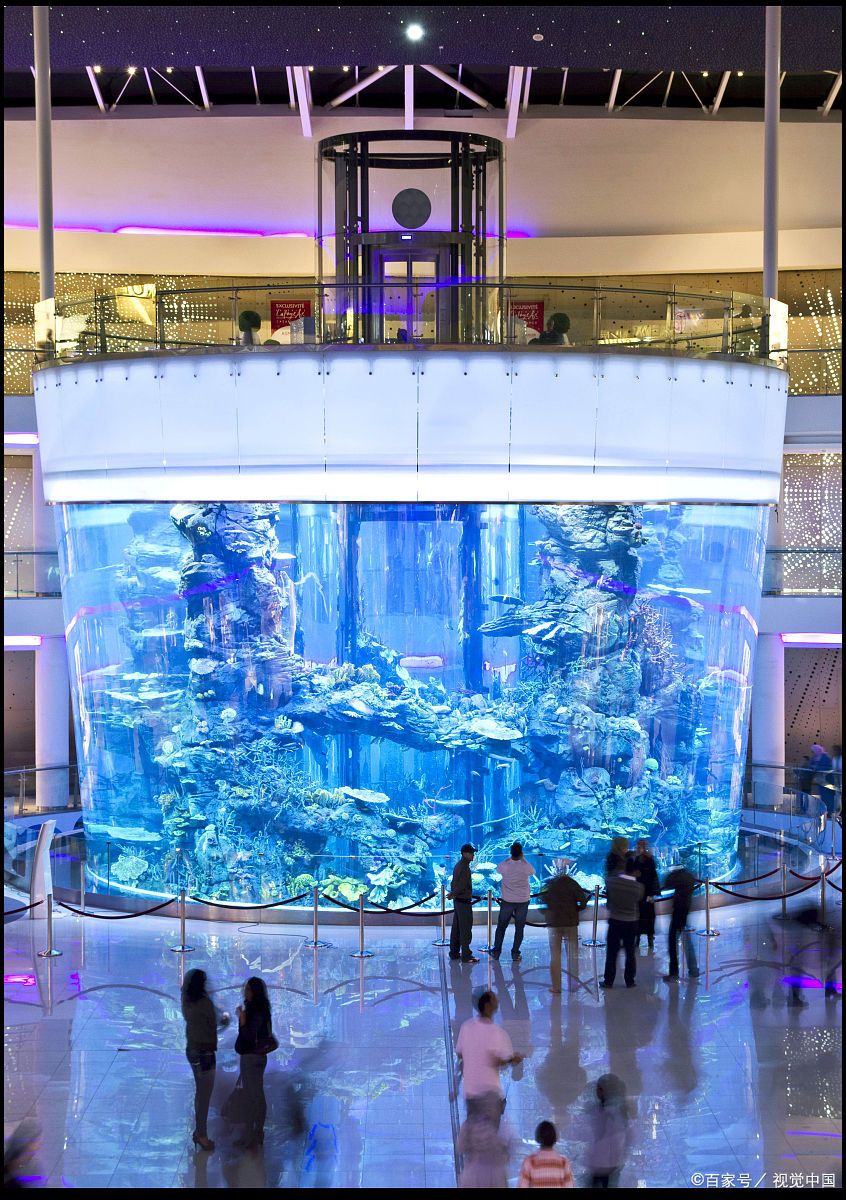 商场圆柱水族馆是吸引顾客,增加购物体验的重要元素.