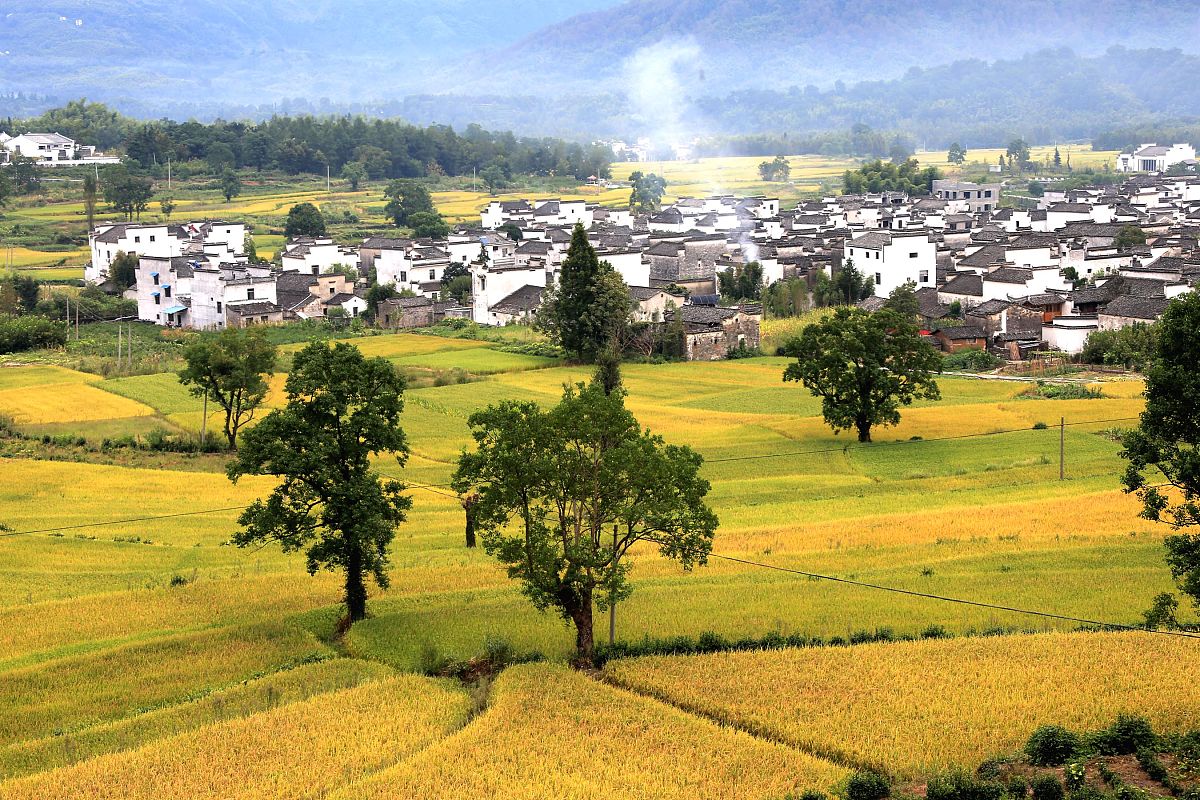 秋天的乡野图片图片