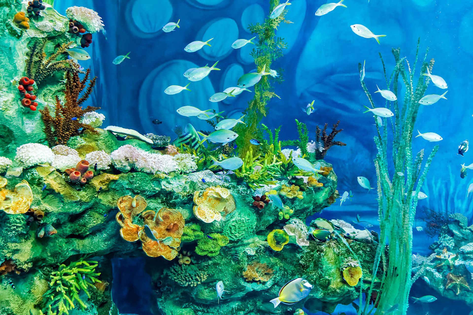 我是一个普通女人,已经三十多岁了,和其他人一样,我也有正常的需求.