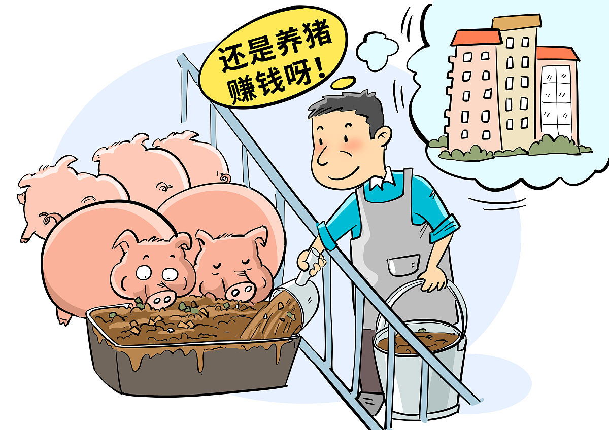 养猪把握好这8点,让你的猪长得快,少生病,成本低,多赚钱,速看