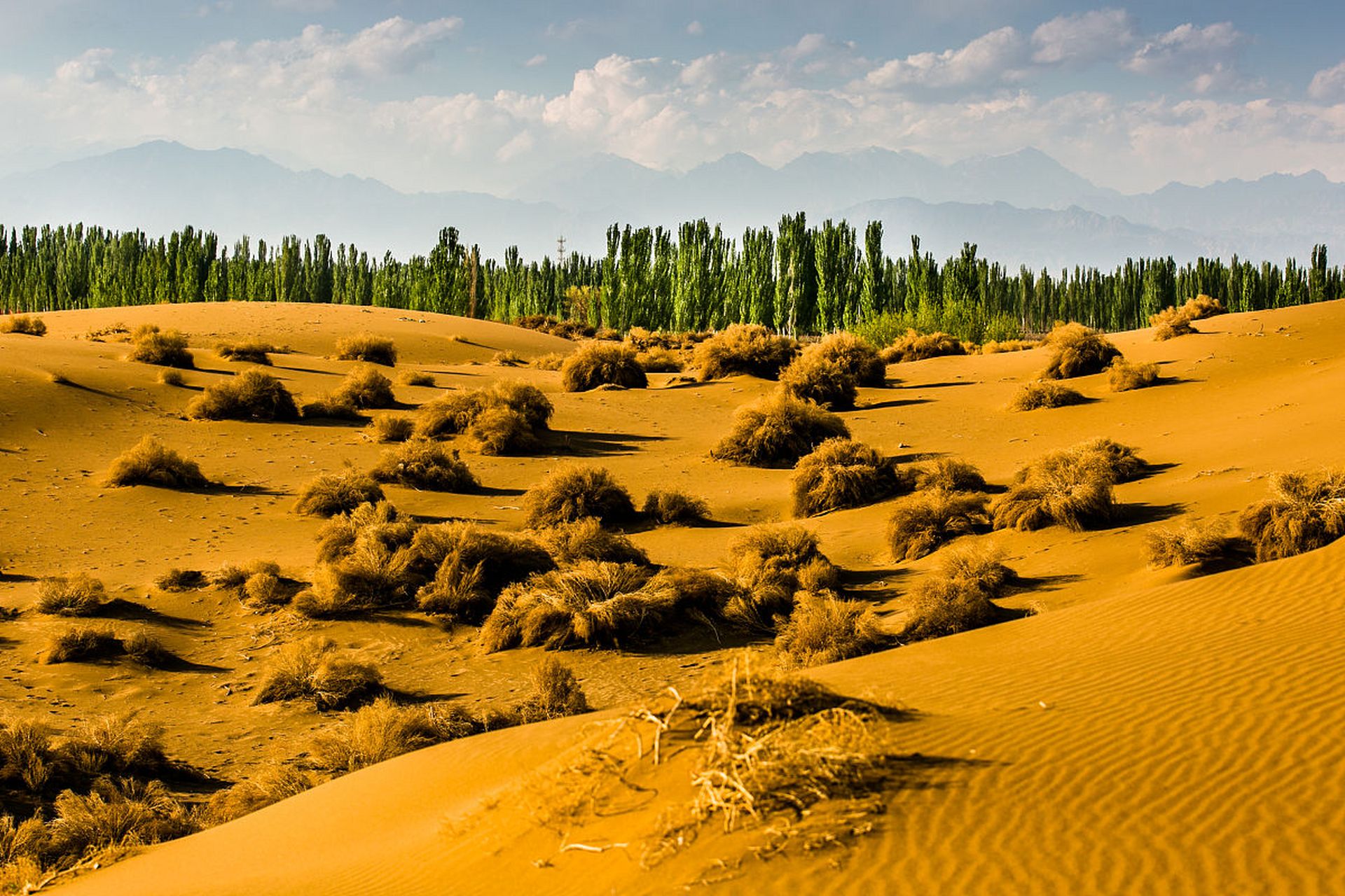 奇遇那拉提#新疆那拉提库木塔格沙漠位于新疆巴音郭楞蒙古自治州,是