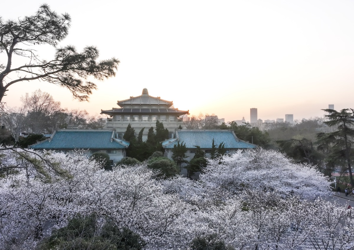 武汉大学,这座拥有百年历史的学府,宛如一颗璀璨的明珠,镶嵌在长江之