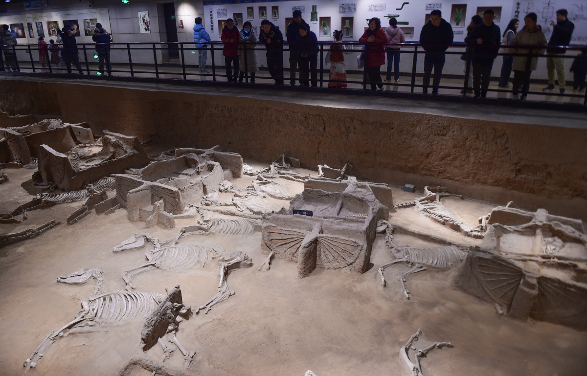 陕西·西安  汉阳陵国家考古遗址公园,一处历史与自然的完美交融之地