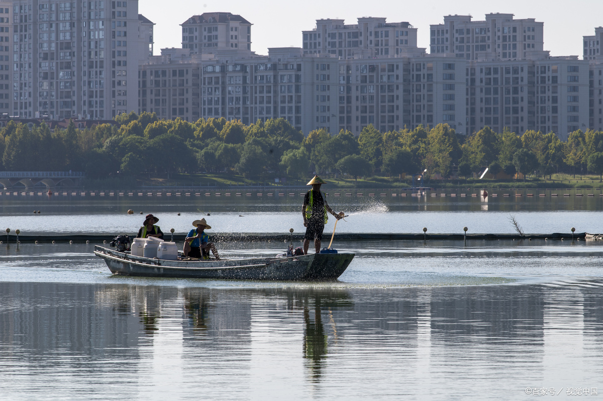 冬日里的湖州长兴洪桥镇,太湖渔船归港!