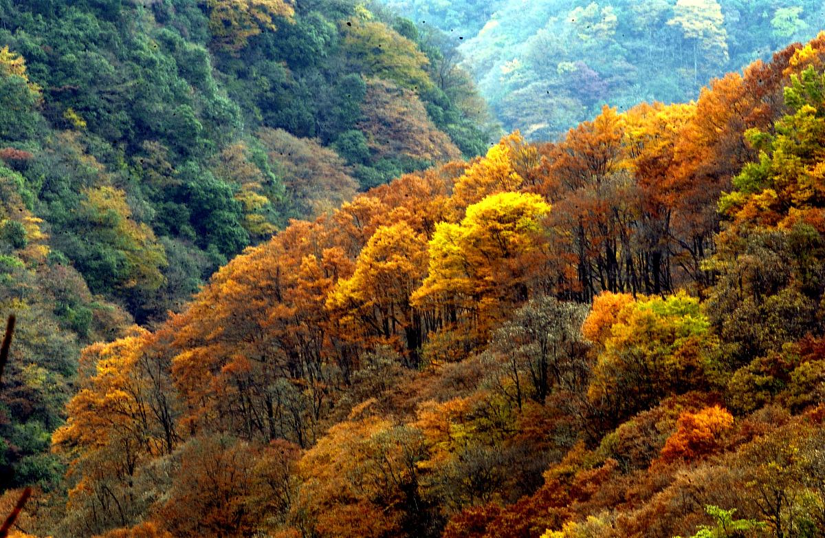 四川省南江县风景名胜:光雾山景区