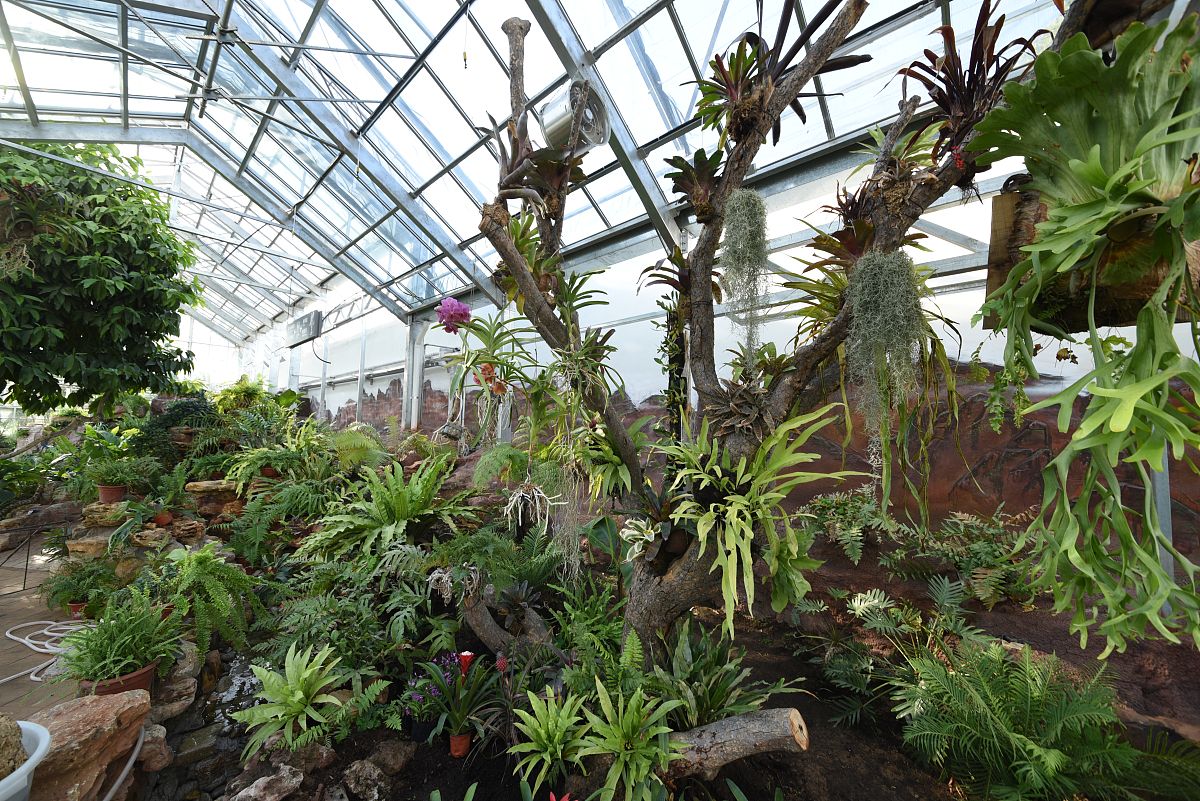 请观赏宜昌鼎昌温室