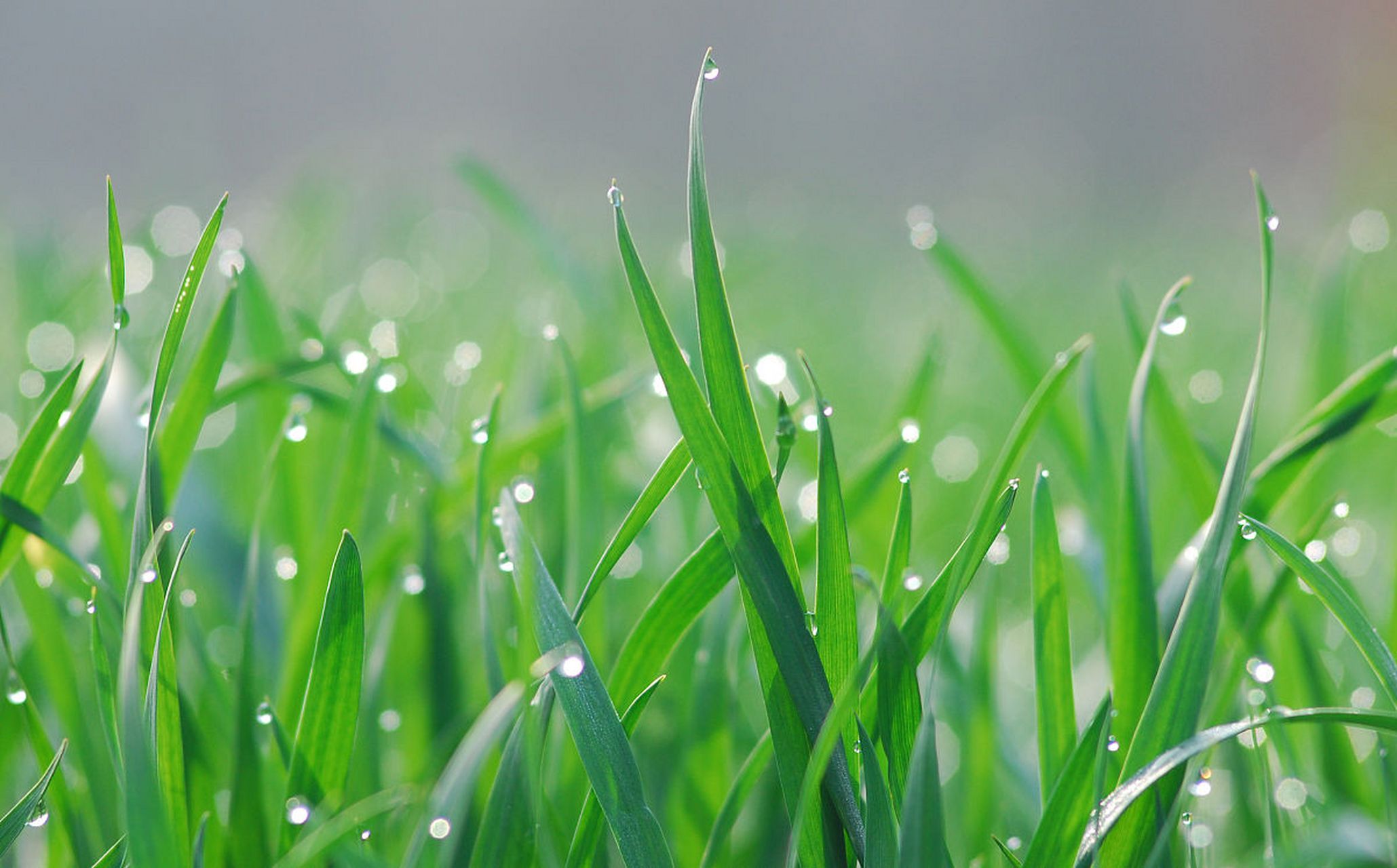 说一说写每日故事的那些事 远离那些故意抹灭你自信