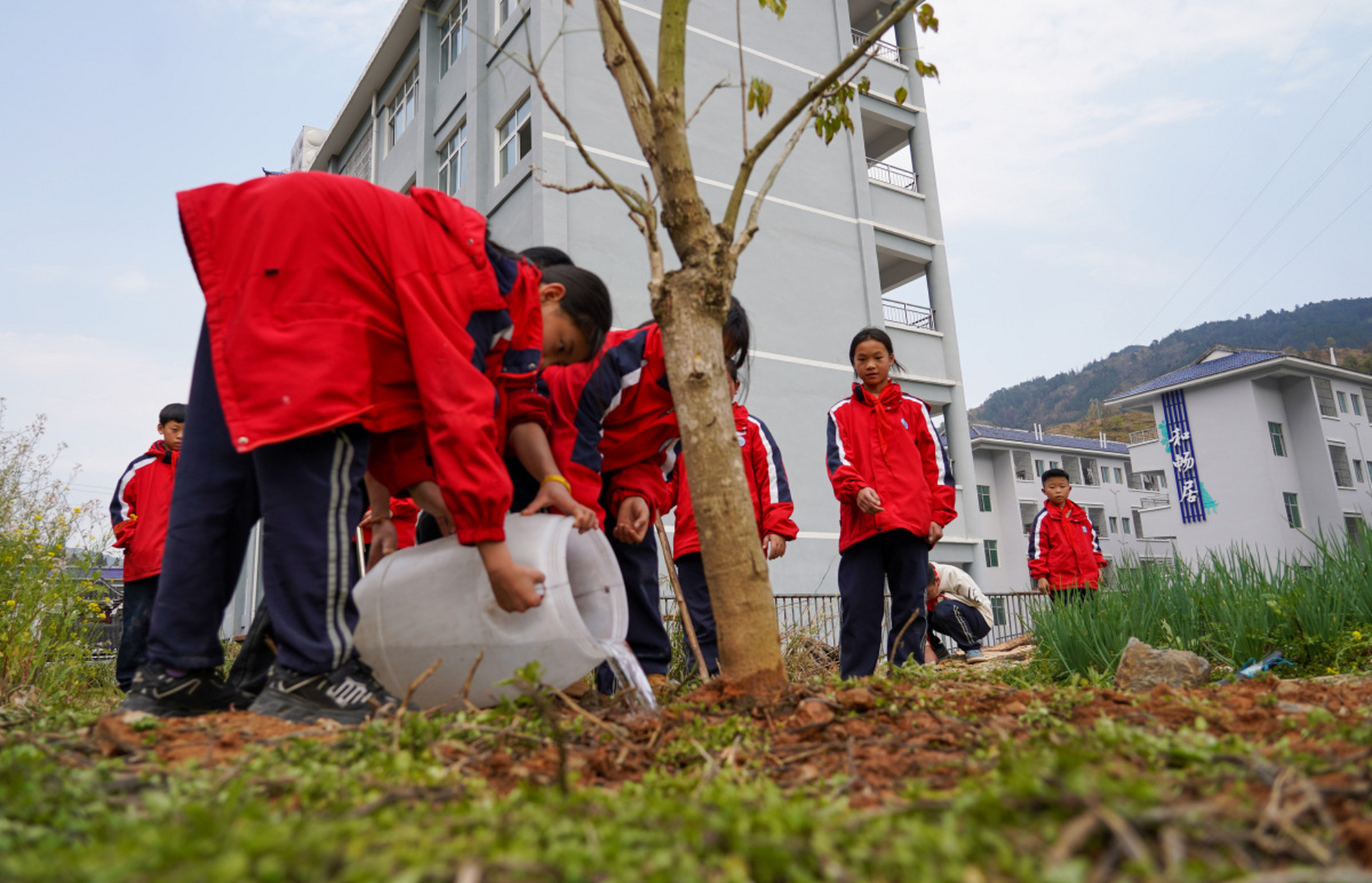 职业教育中社会实践对学生综合素质提升有重要意义.